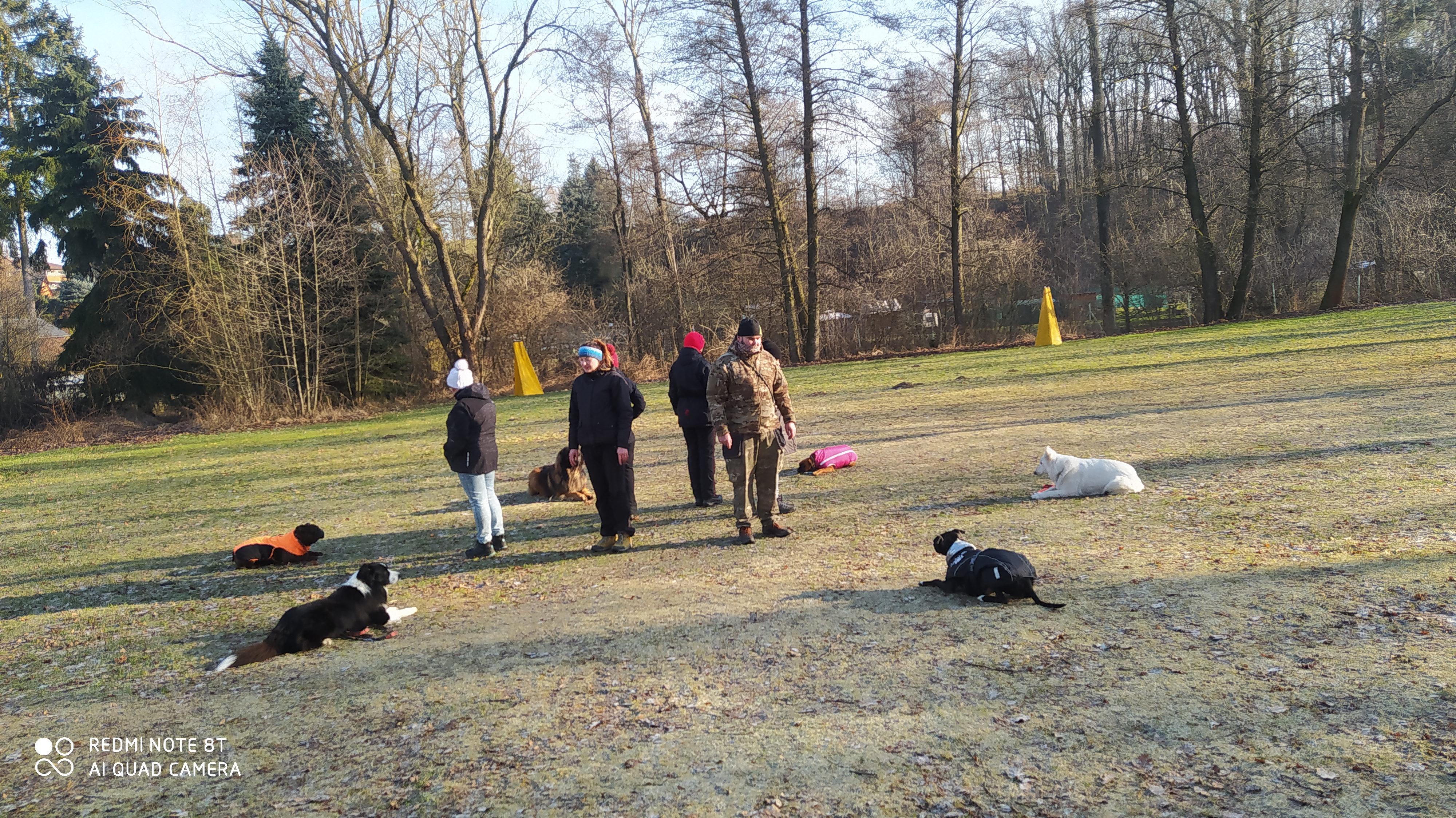 Psí škola Dopey foto 3