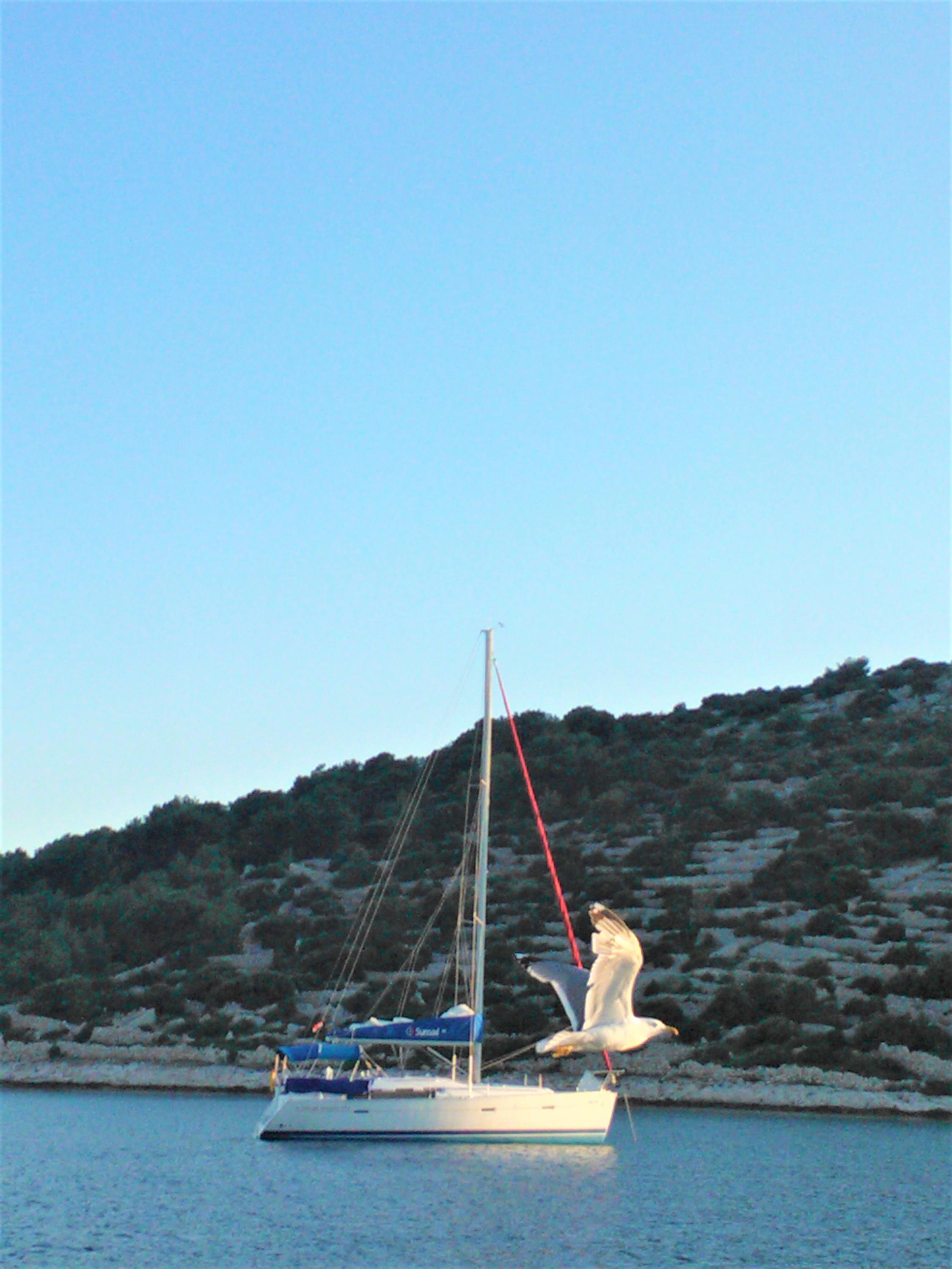 Server Chorvatsko - hory, ostrovy a pobřeží foto 3