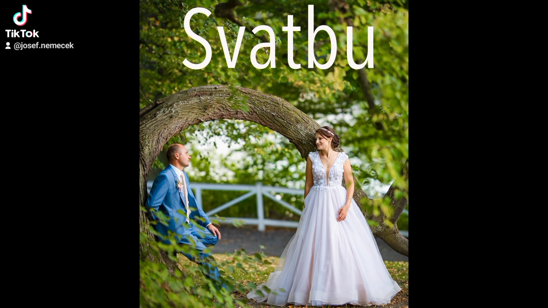 Foto-Nemecek foto 2 (náhled videa)