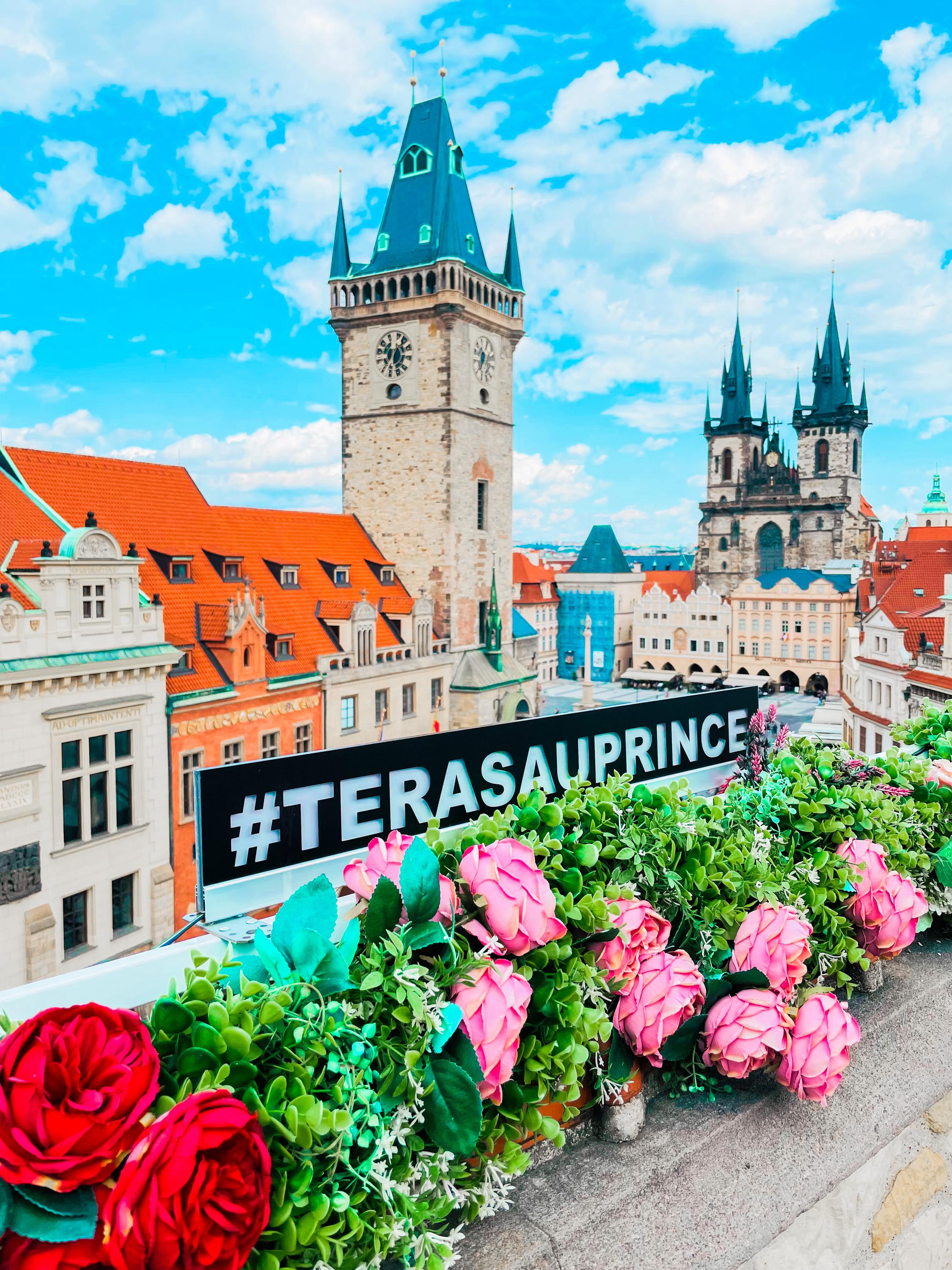 Terasa U Prince foto 3