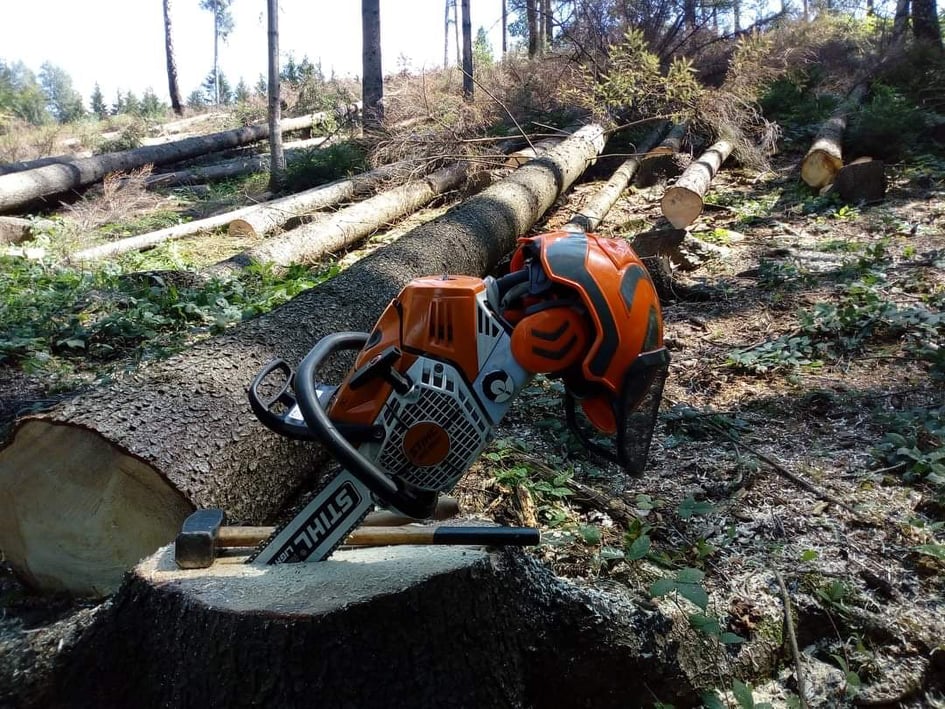 Aleš Zemánek – rizikové kácení dřevin foto 2