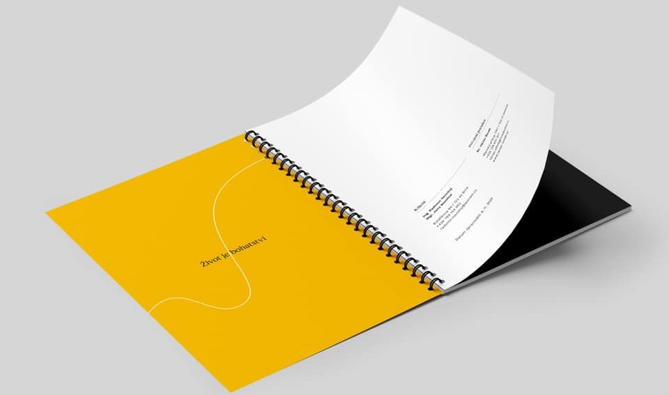 Oldřich Míša - Privátní finanční audit a Audit státního důchodového zabezpečení foto 4