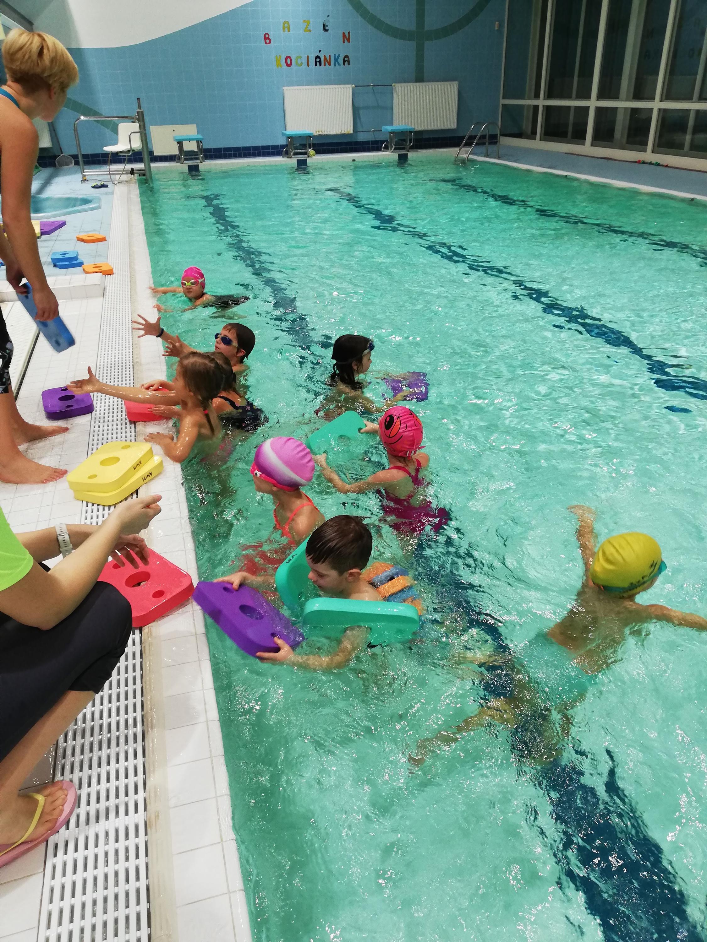 Animáčci plavecká škola foto 2