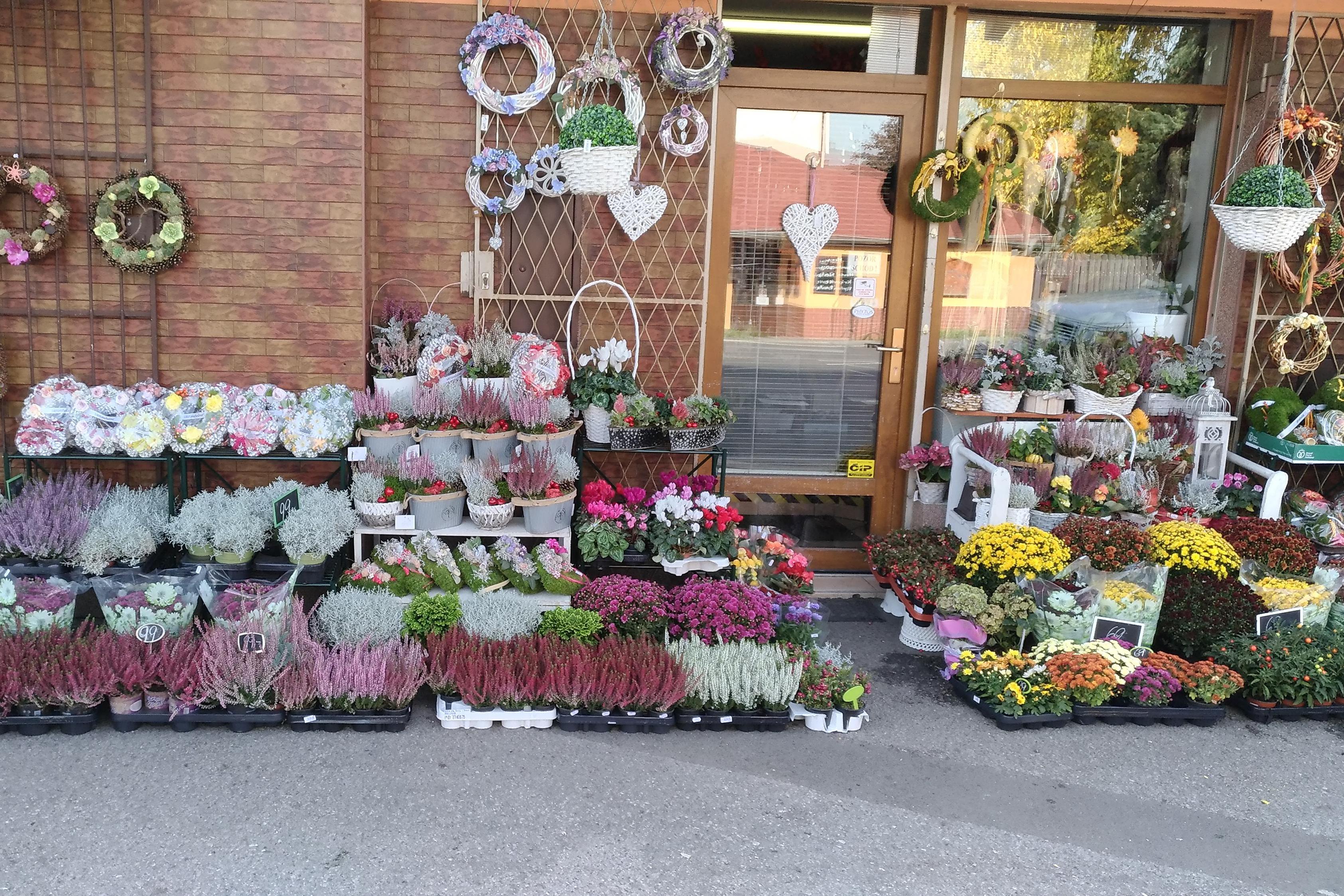 Čerstvé květiny s.r.o