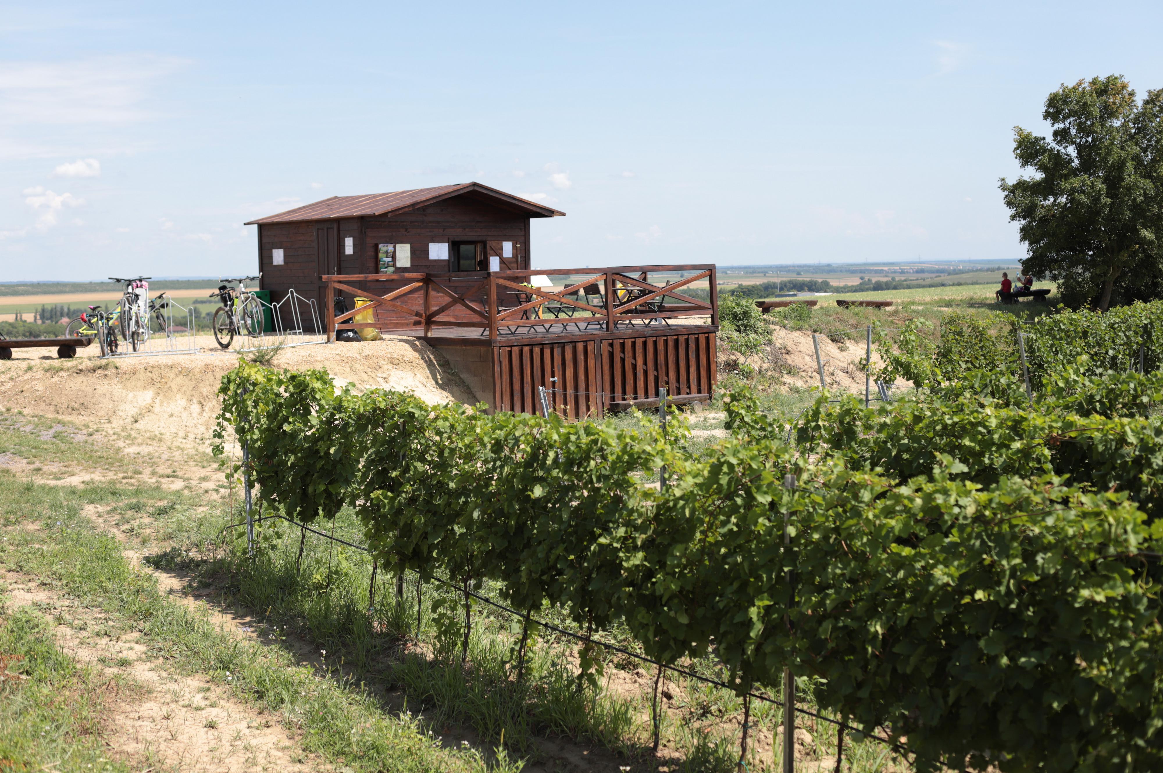 Znovín Znojmo - ochutnávkový stánek Peklo, Šatov