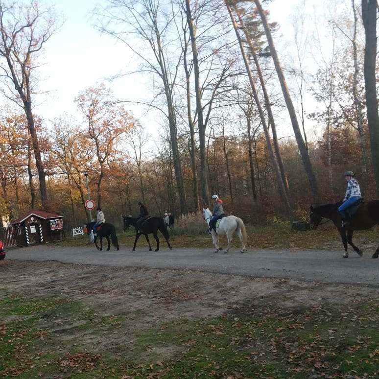 Ranč pod Kuňkou foto 4