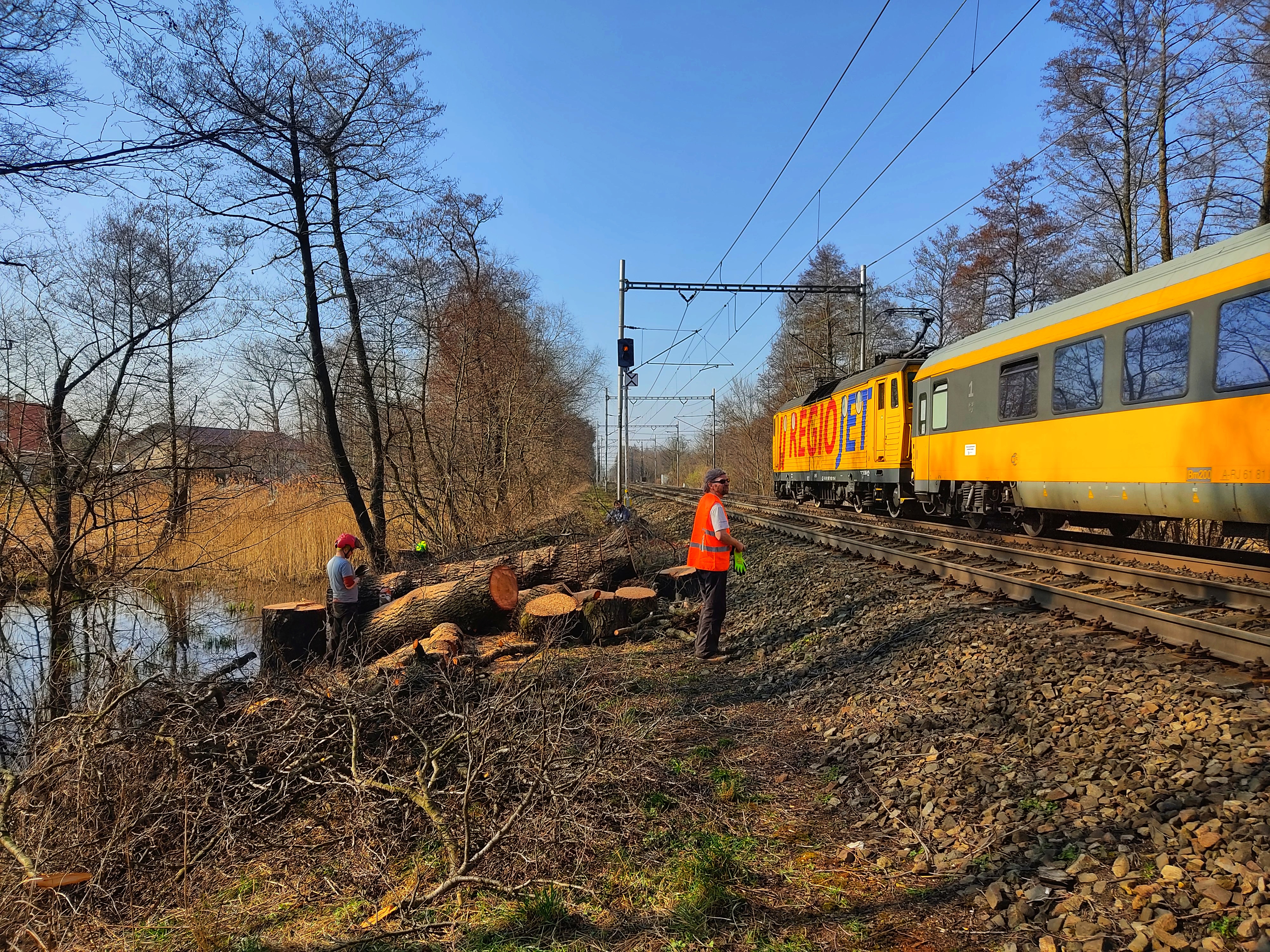 ARBO Šanov CZ s.r.o. foto 4