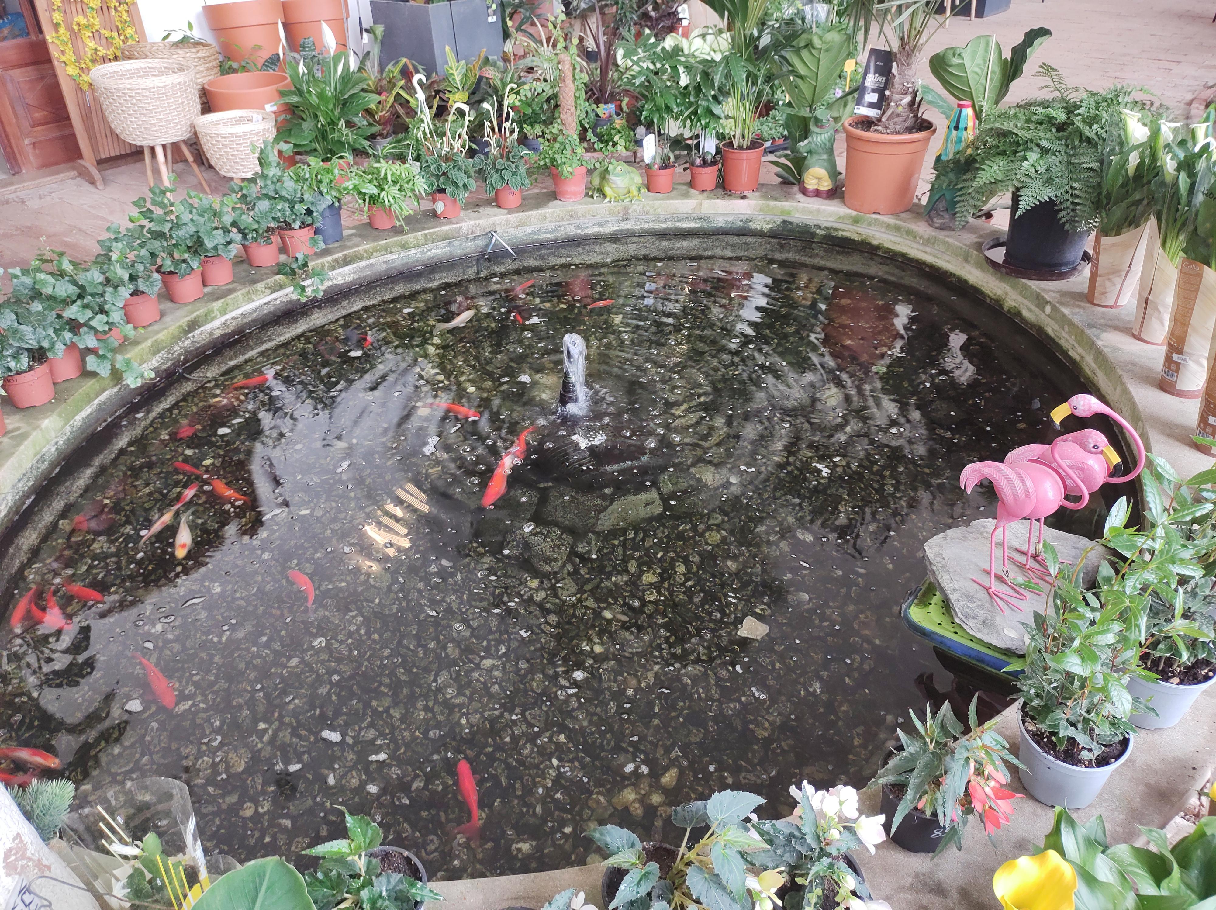 Obecní lesy Bludov s.r.o. foto 5