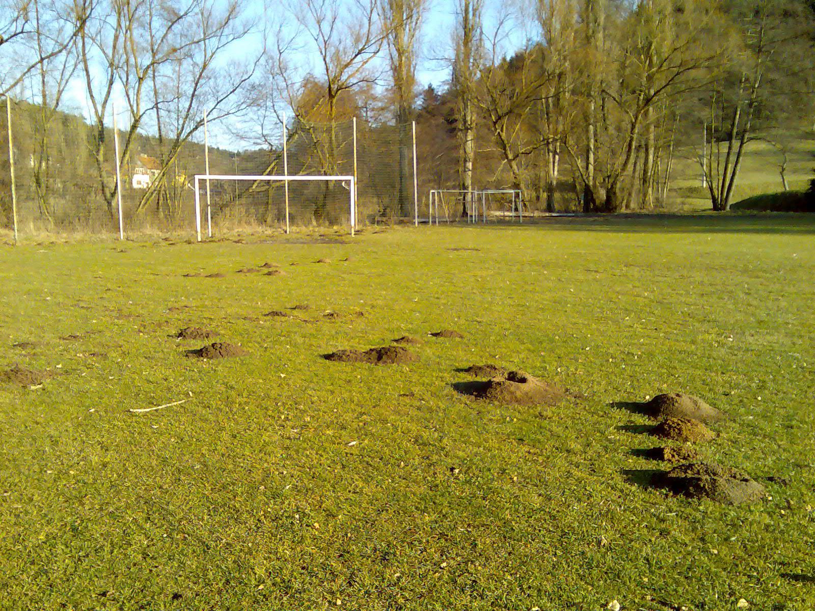 Fotbalové hřiště Řícmanice