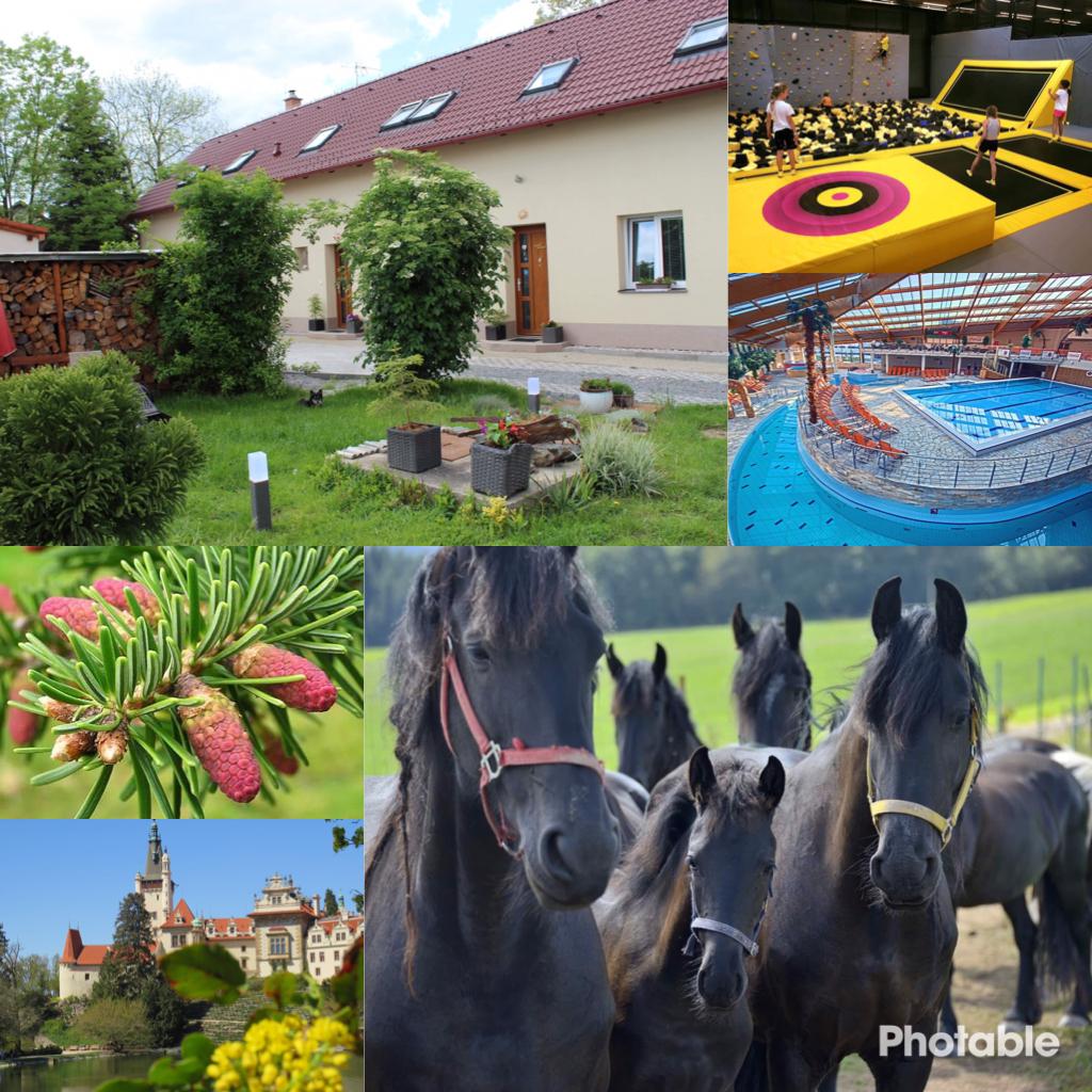 Apartmány Rivendell foto 6