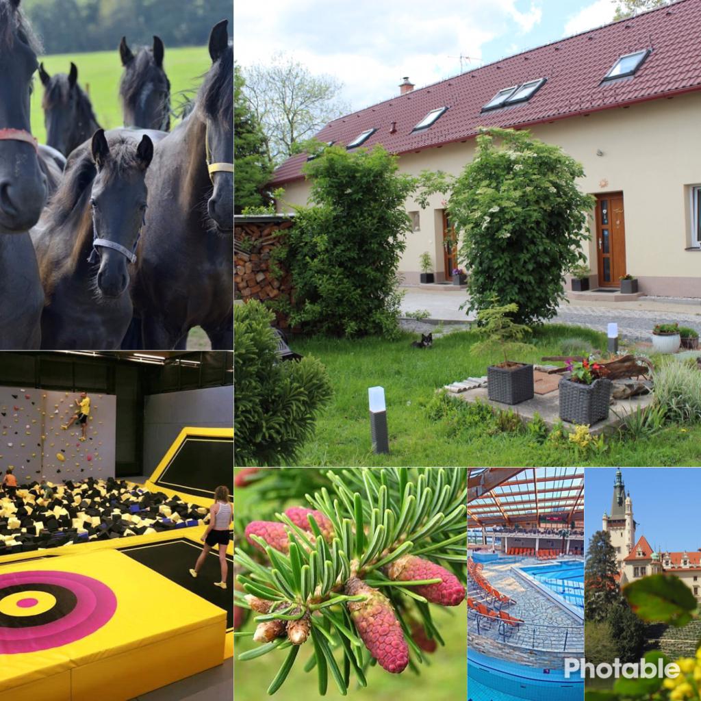 Apartmány Rivendell foto 5