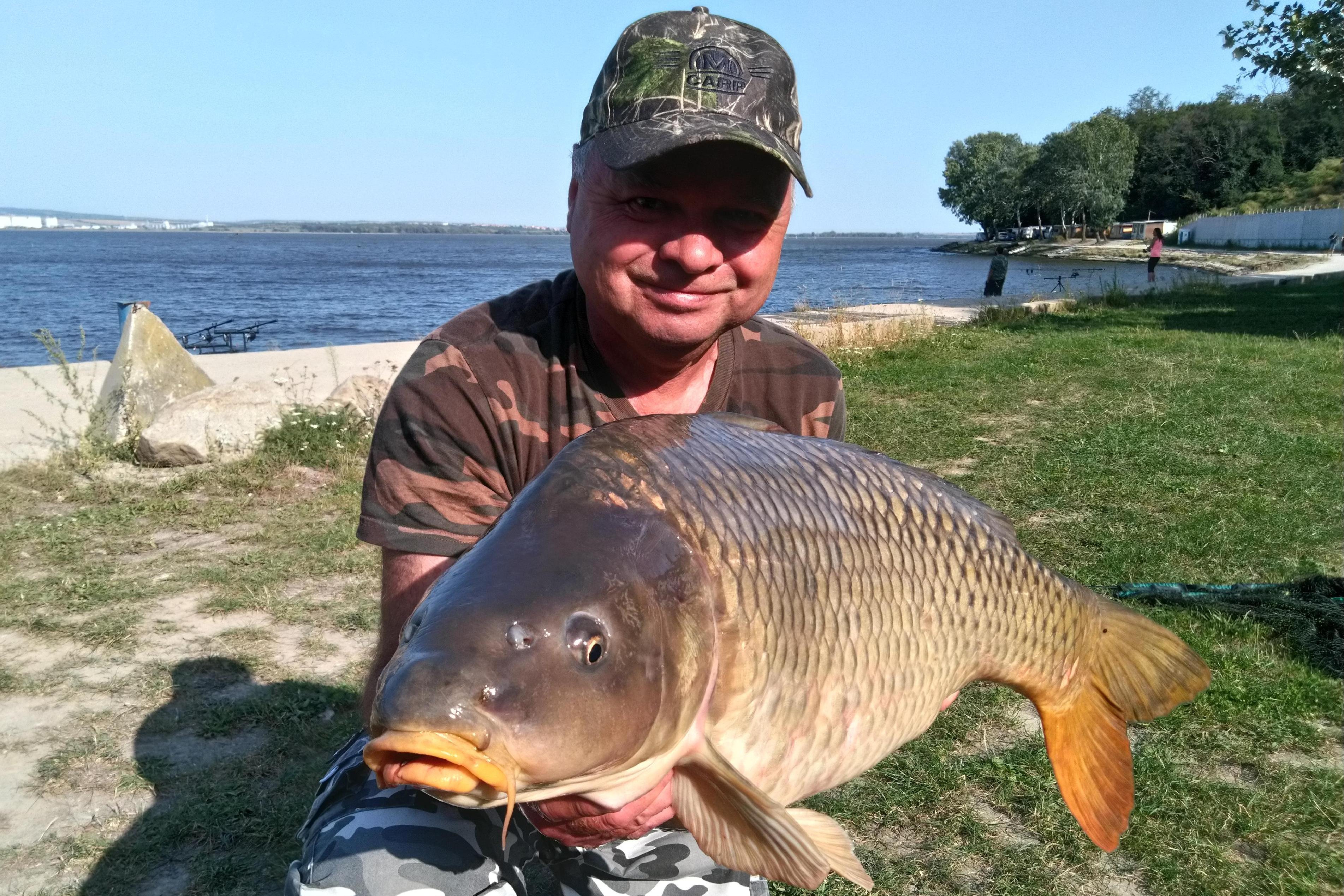 JVCarp - Jiří Voneš