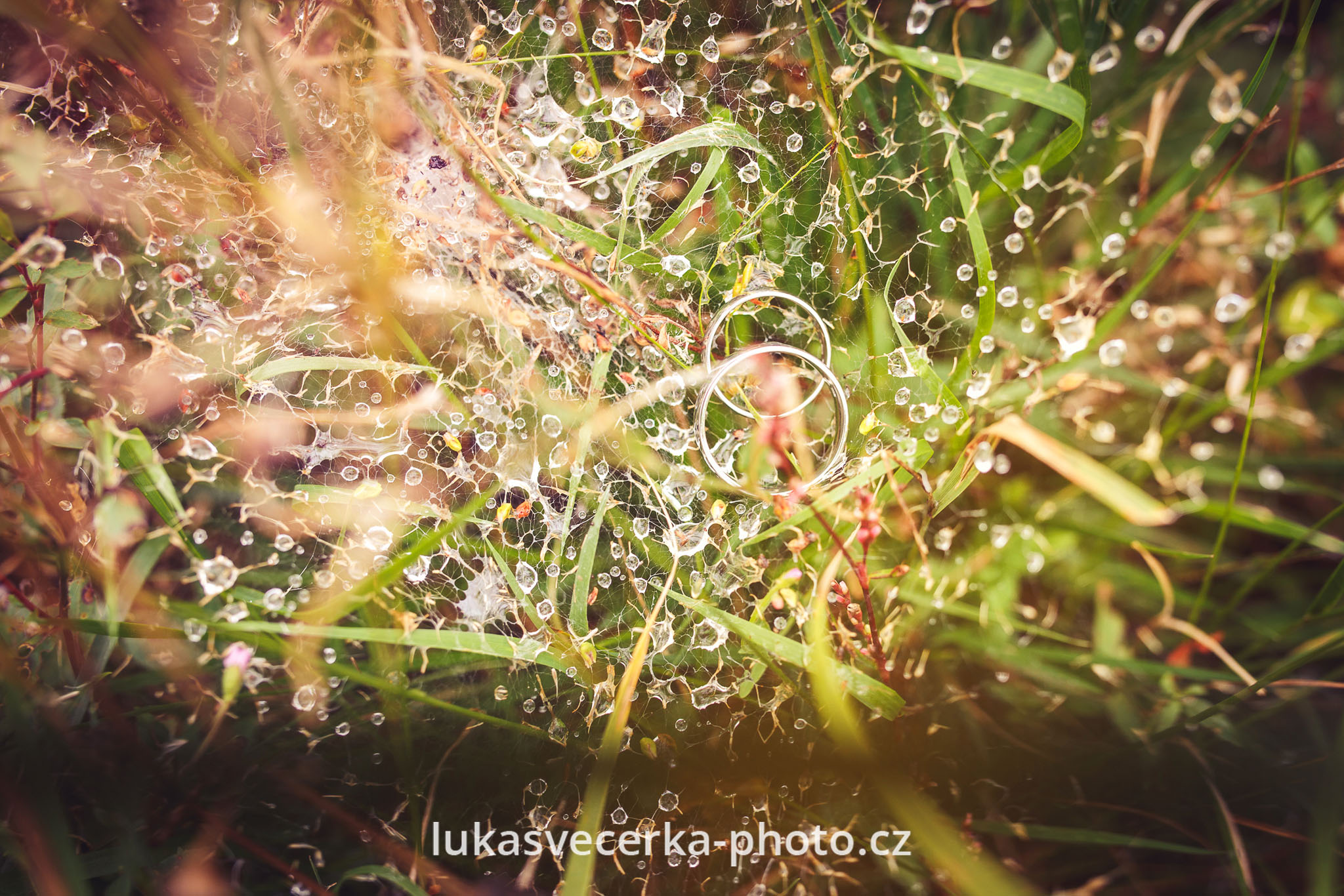 Lukáš Večerka - fotograf foto 4