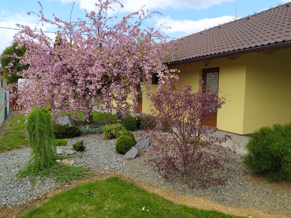 Rodinné masážní a relaxační studio foto 2