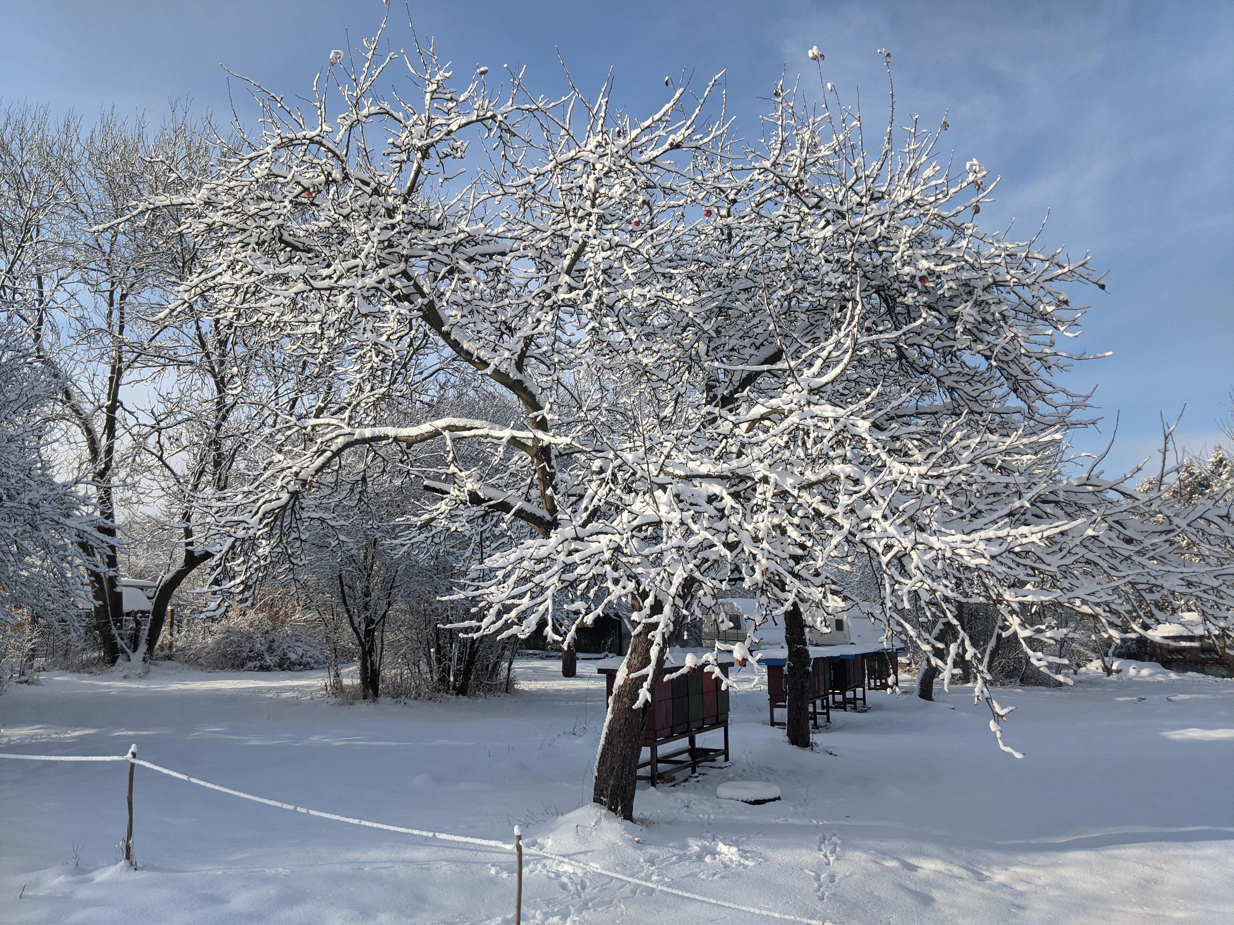 Chaloupky - lesní mateřská škola foto 6
