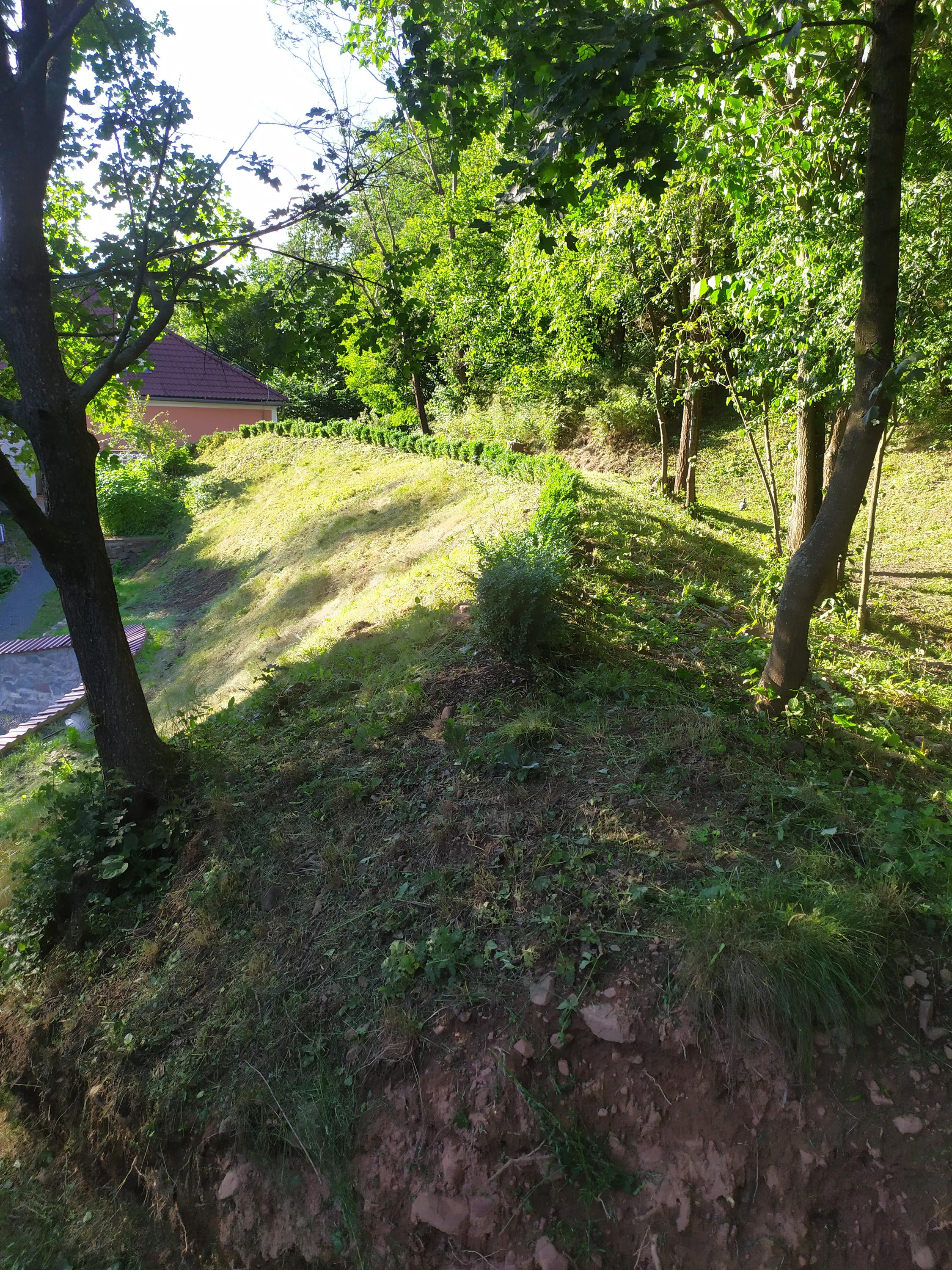 Bajer - dům, byt, zahrada foto 6