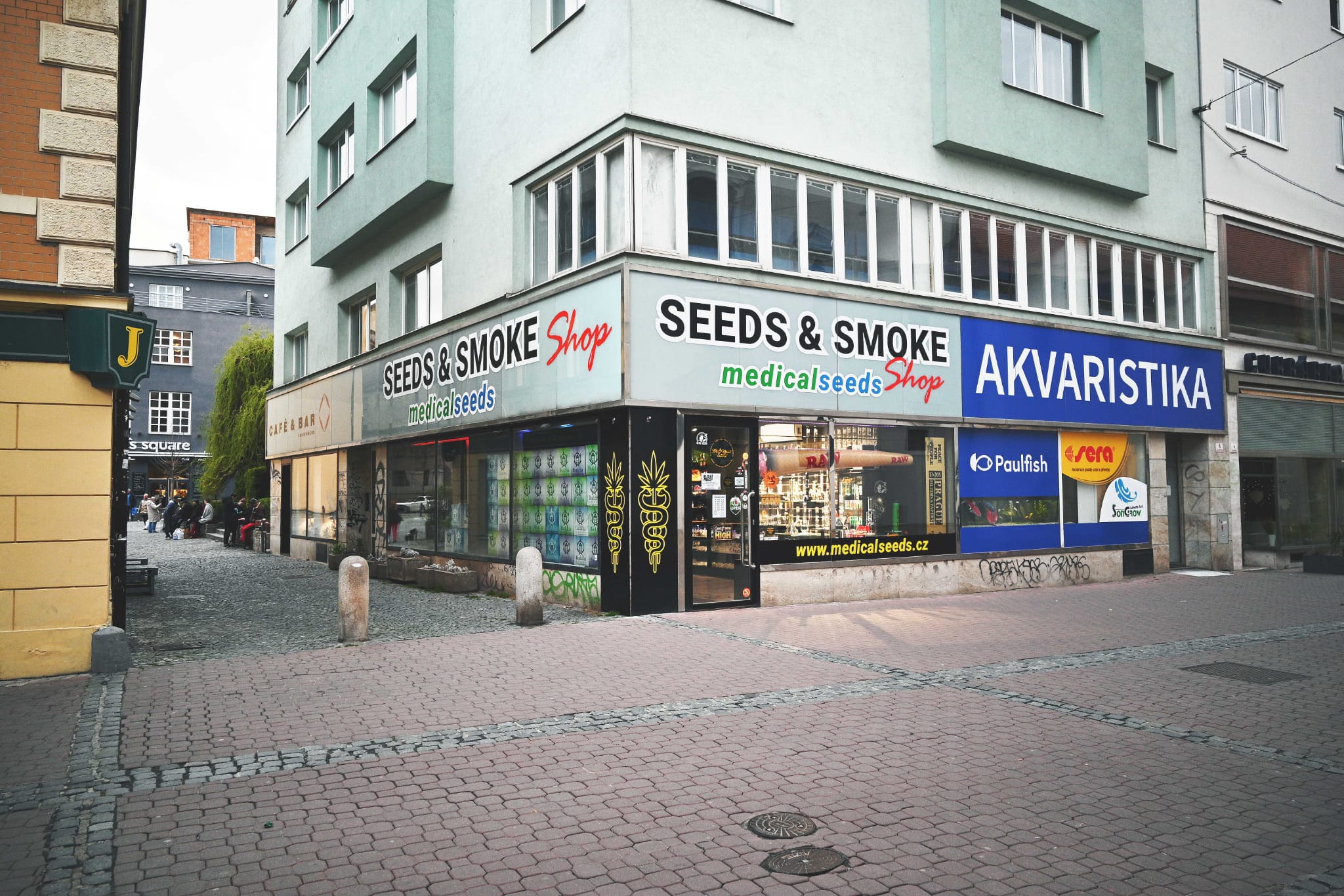 Medical Seeds foto 6