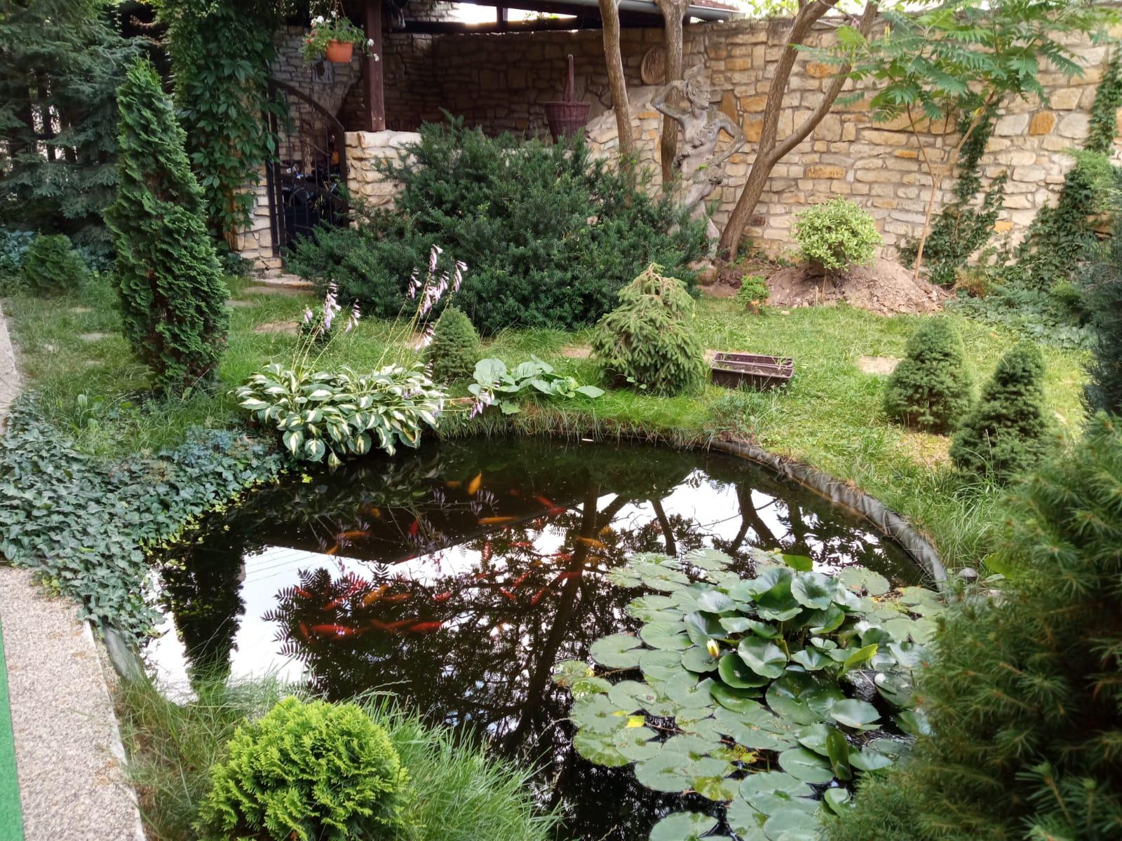 Restaurace U Lišky foto 6