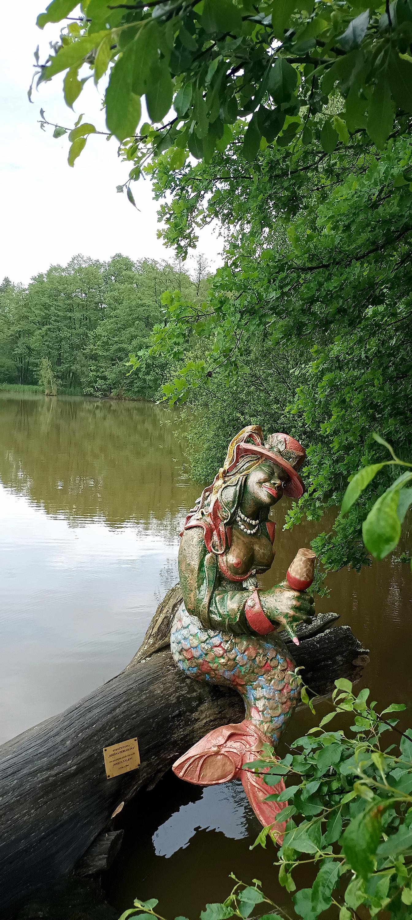 Restaurace Pergola u Sv.Víta foto 4