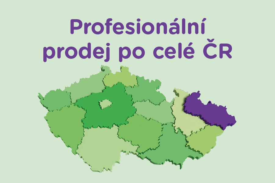 Profesionální prodej