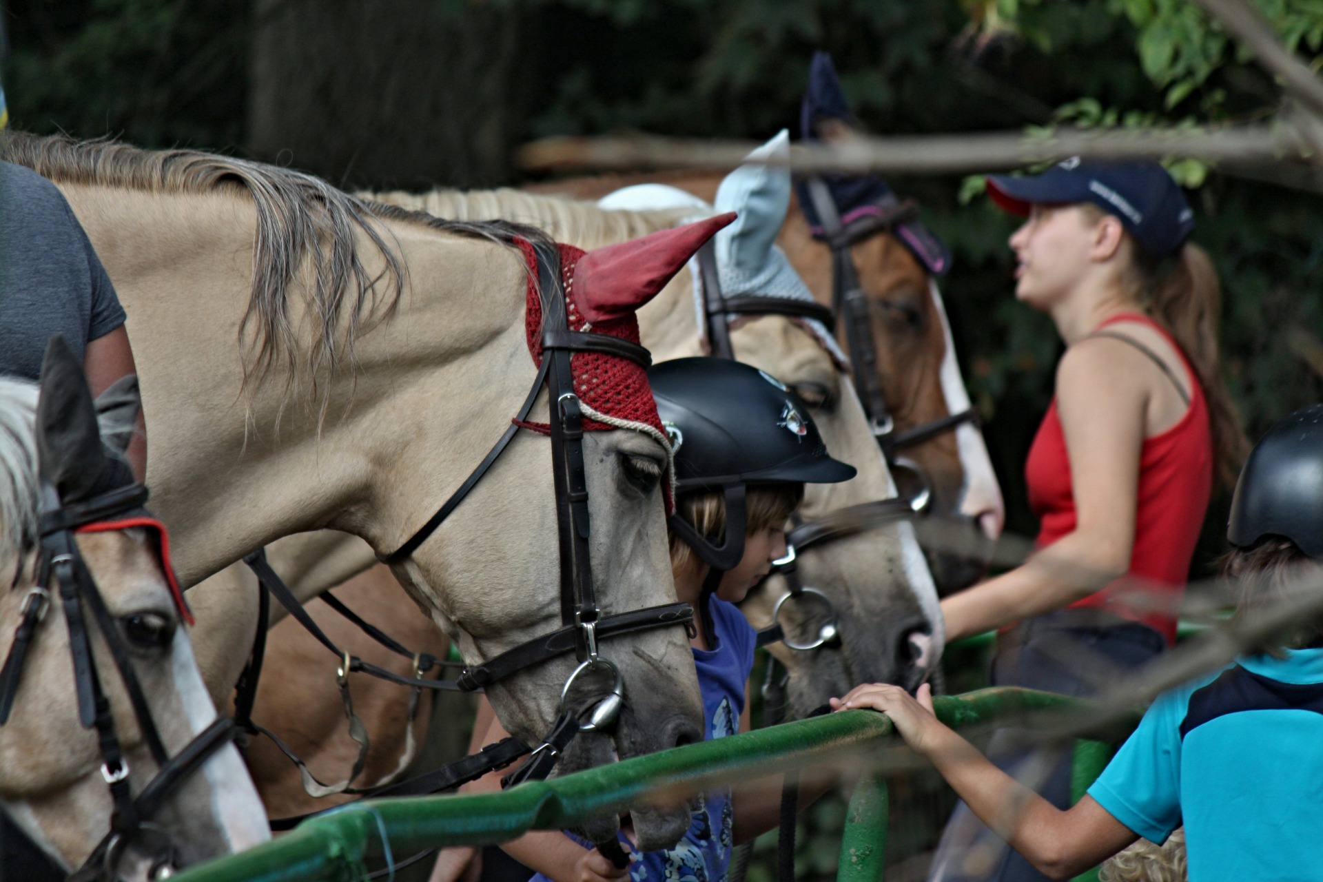 Sportovní klub Mušketýr Ostrava, z.s. foto 3