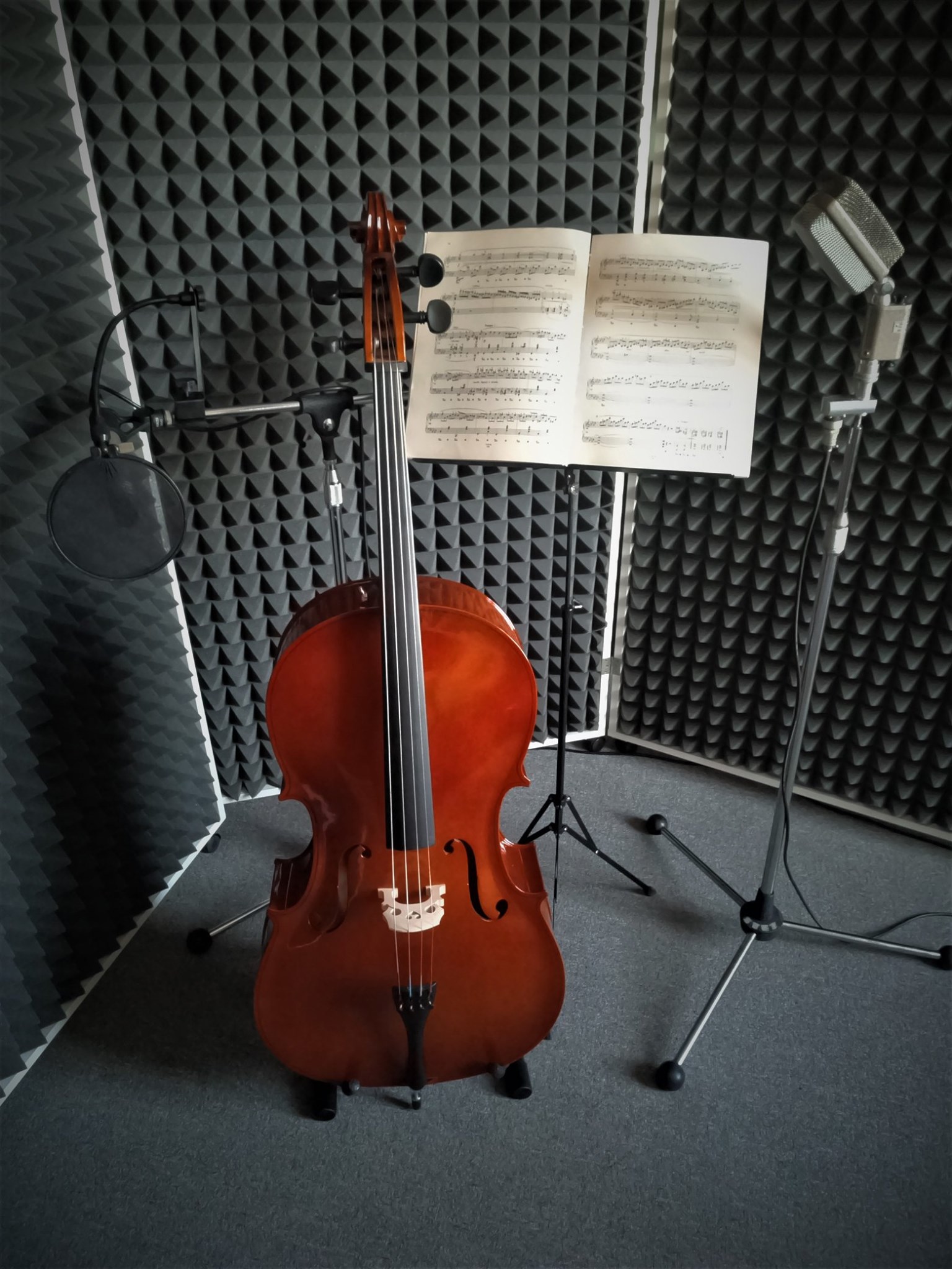 Michal Kurfürst - nahrávací studio pro audioknihy foto 3