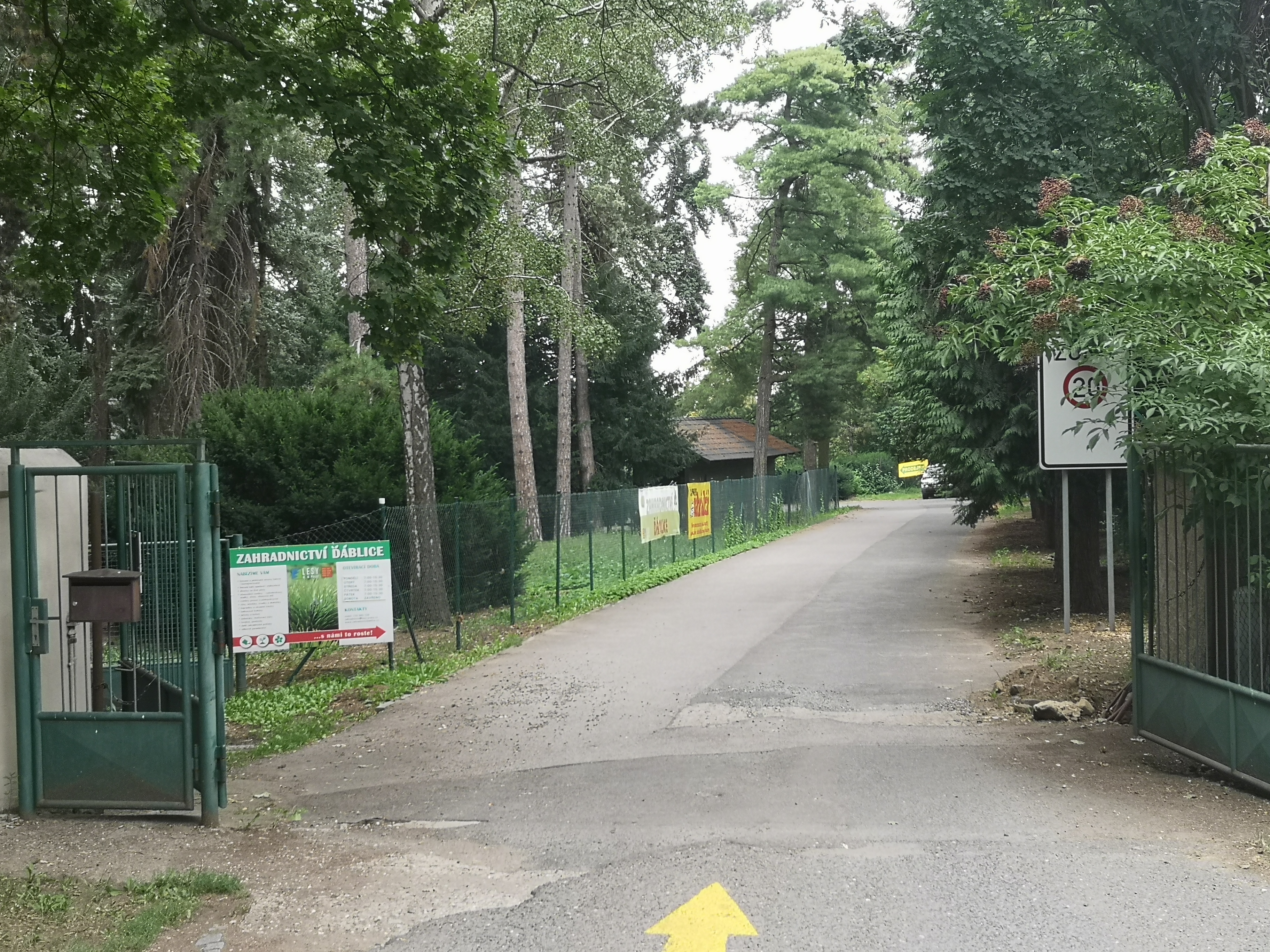 Zahradnictví Ďáblice foto 5