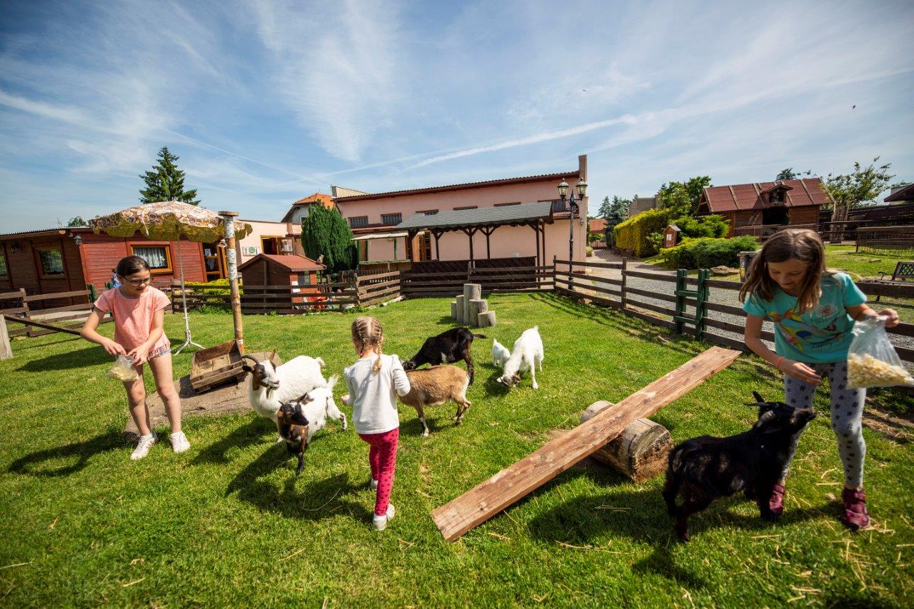 Zvířata - Svíčkárna Rodas s.r.o. foto 5