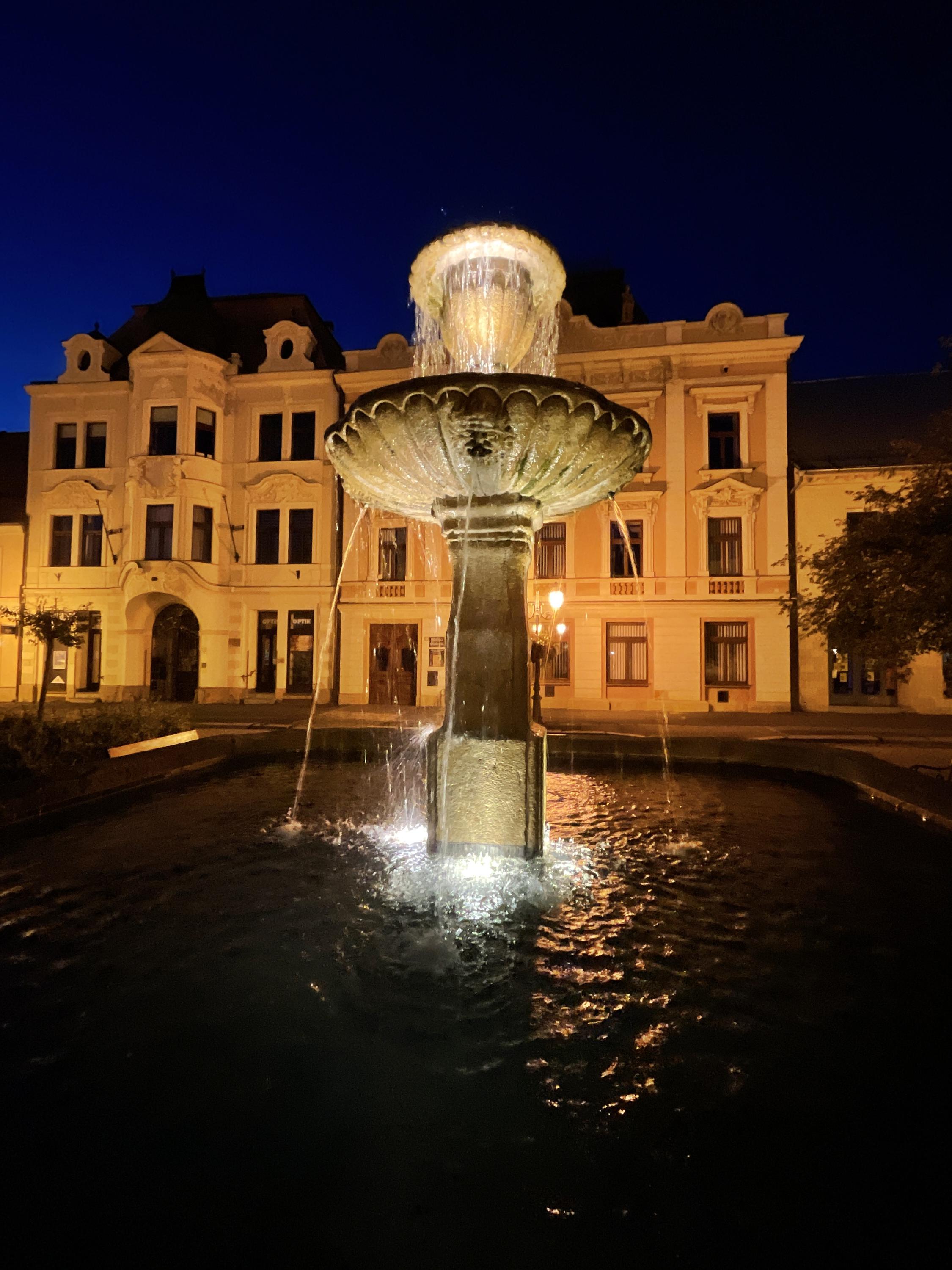 MUDr. Hana Filipovská foto 2