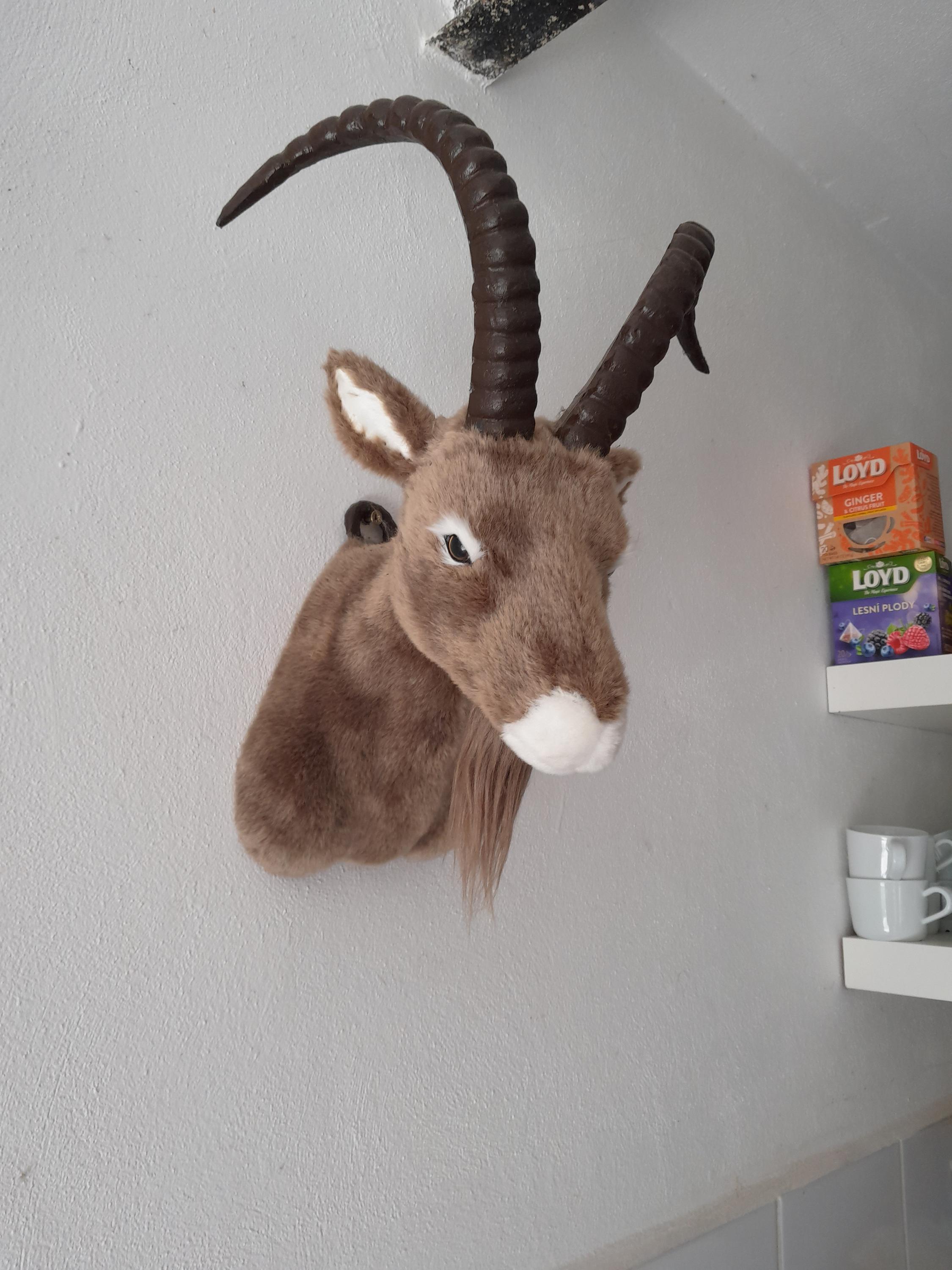 Občerstvení V Kozle foto 2