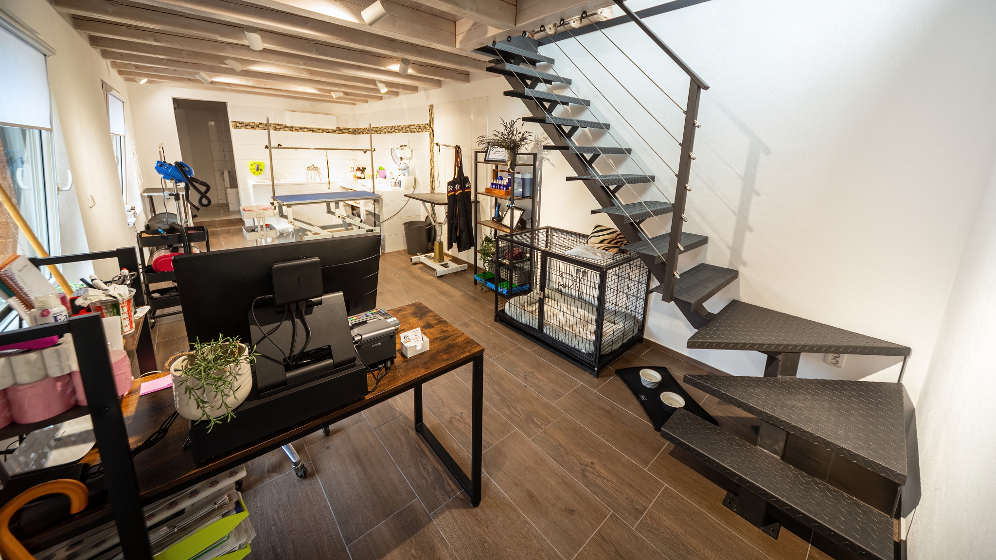 Salon pro psy ROYALPETS Veronika Čechová foto 3