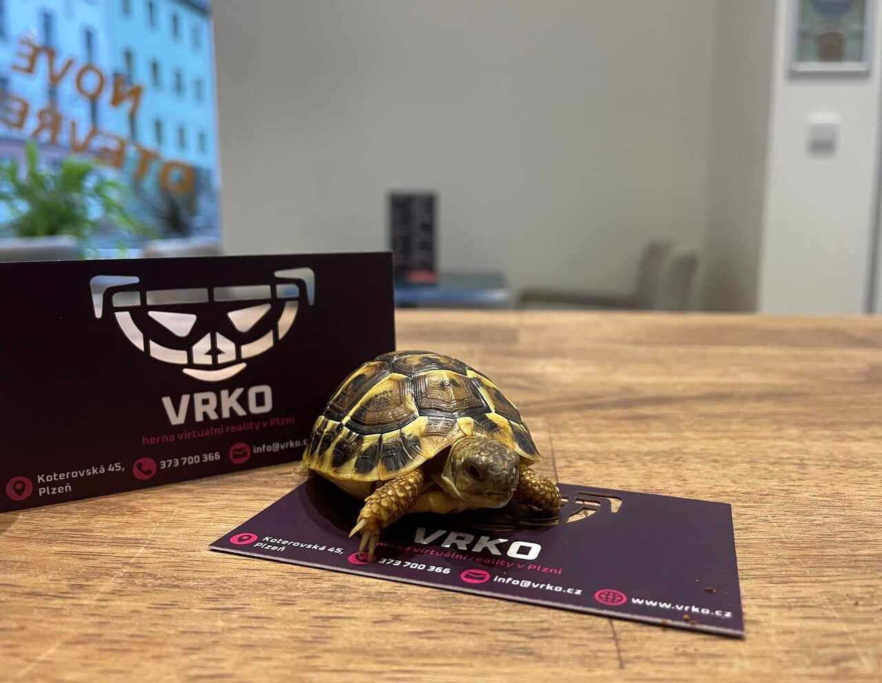 VRko.cz - Herna virtuální reality foto 3