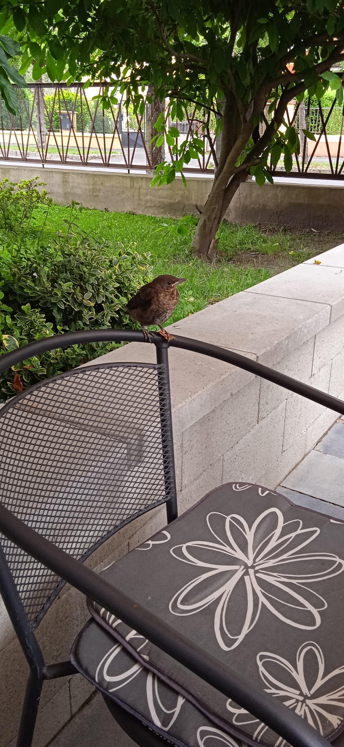 Růžová cukrárna - kavárna foto 5