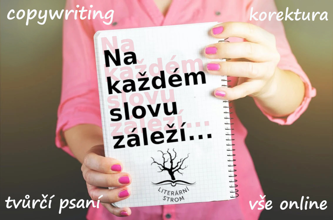 Renata Šindelářová - Tvůrčí psaní, posudky, korektury, knihy foto 5