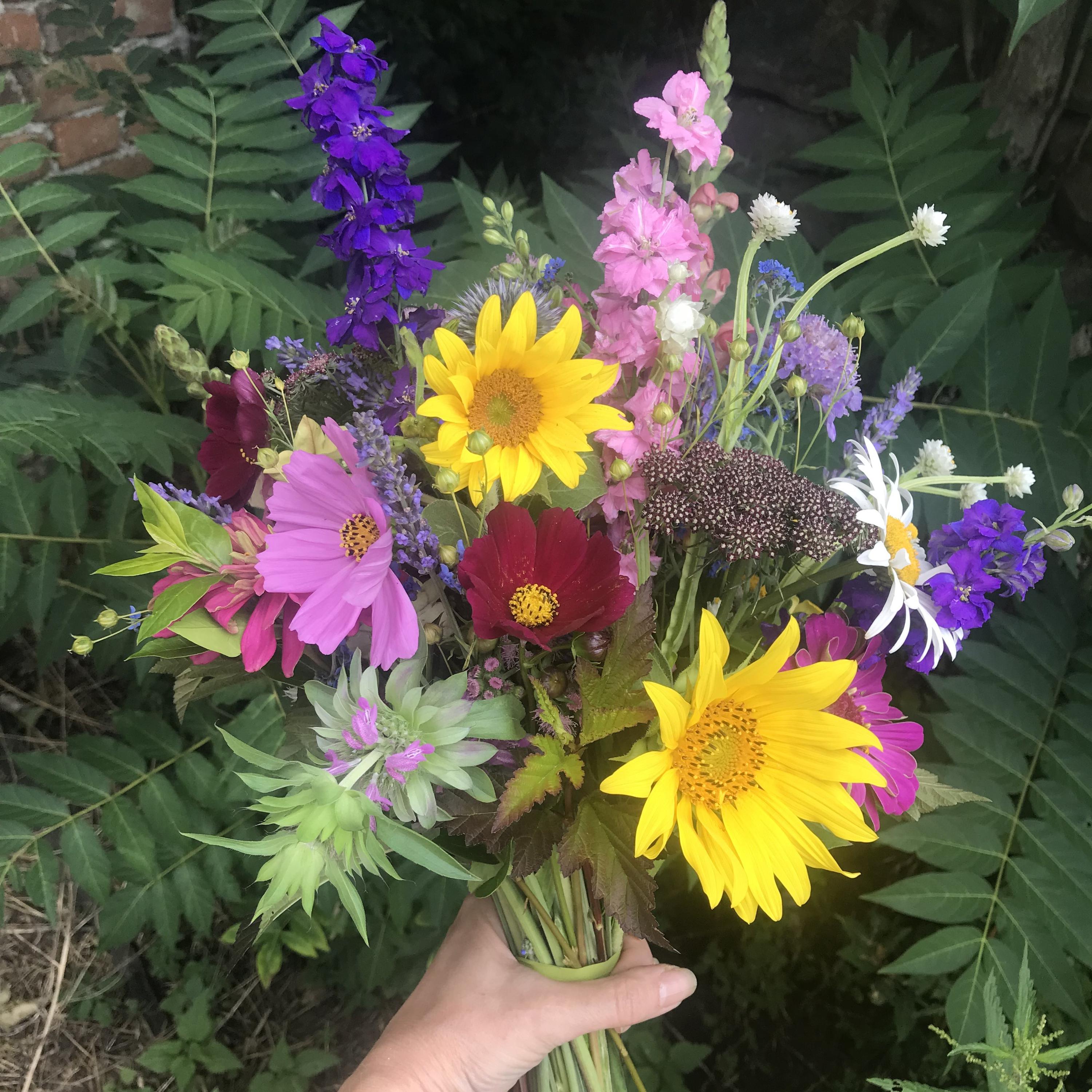 Květinová farma Daniela Žďárská foto 3