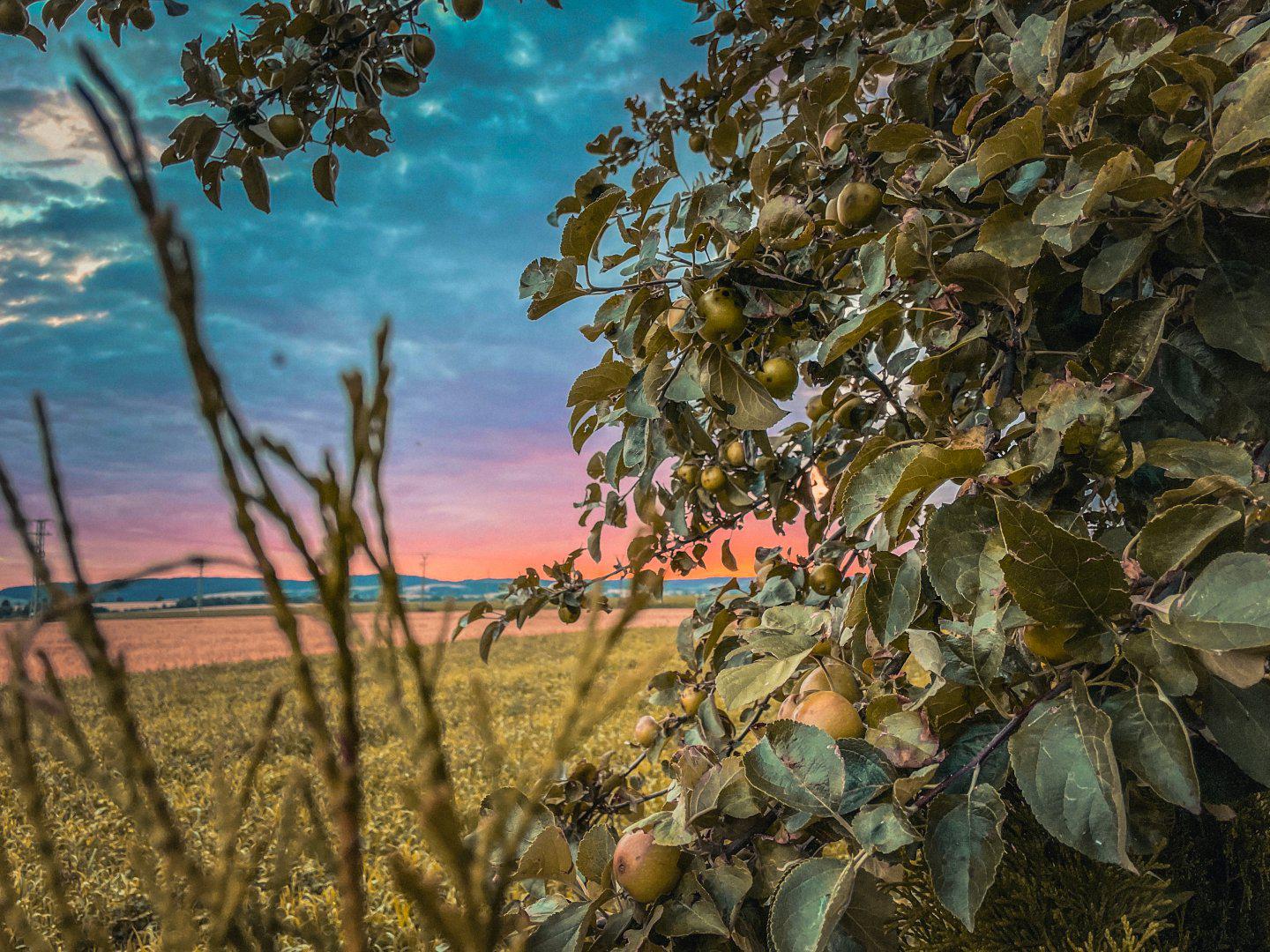 Bezkempu Moravičany foto 6