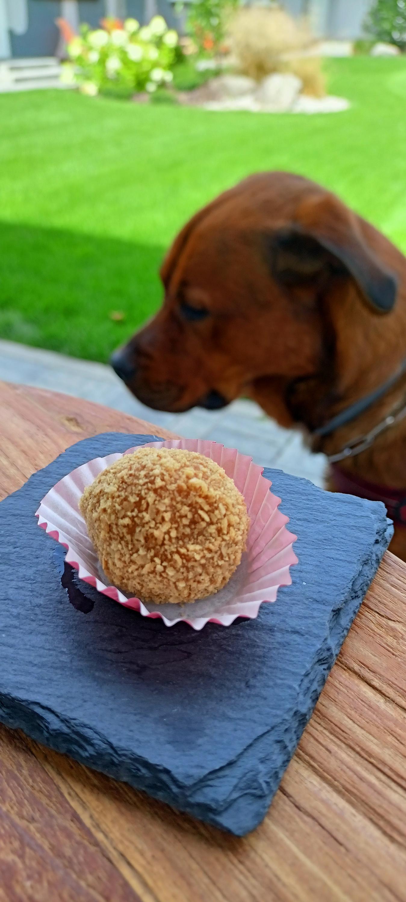 KAFÁRIUM CAFFé08 Point