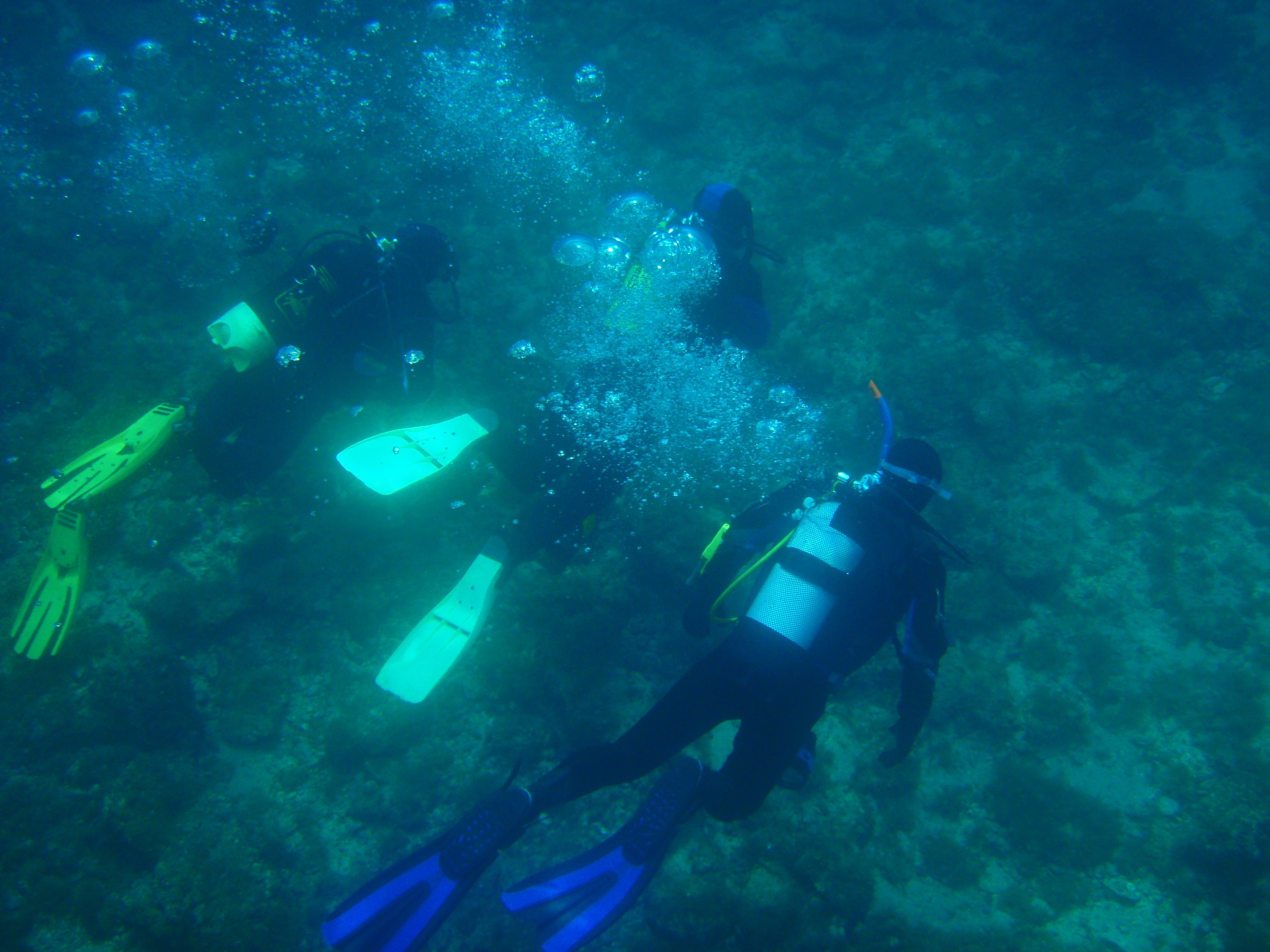 CALYPSO - Klub sportovních potápěčů foto 4