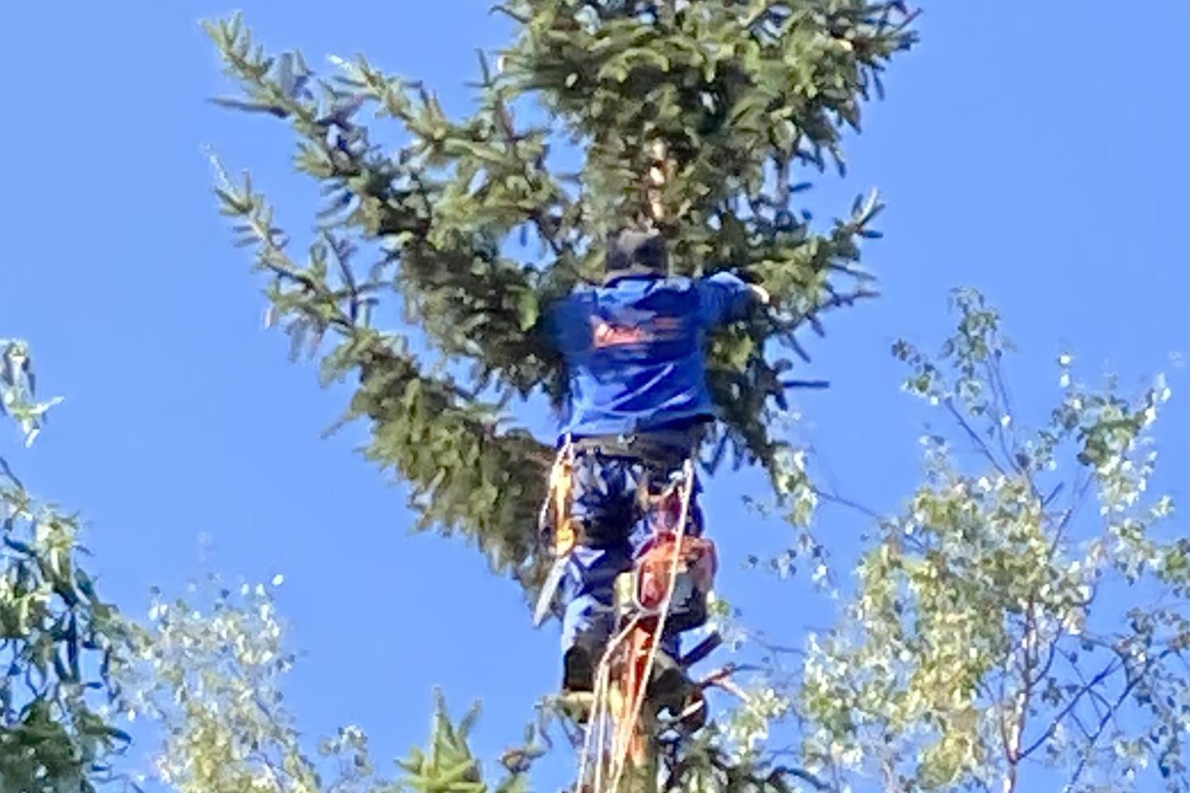 Martin Mareček projektové práce