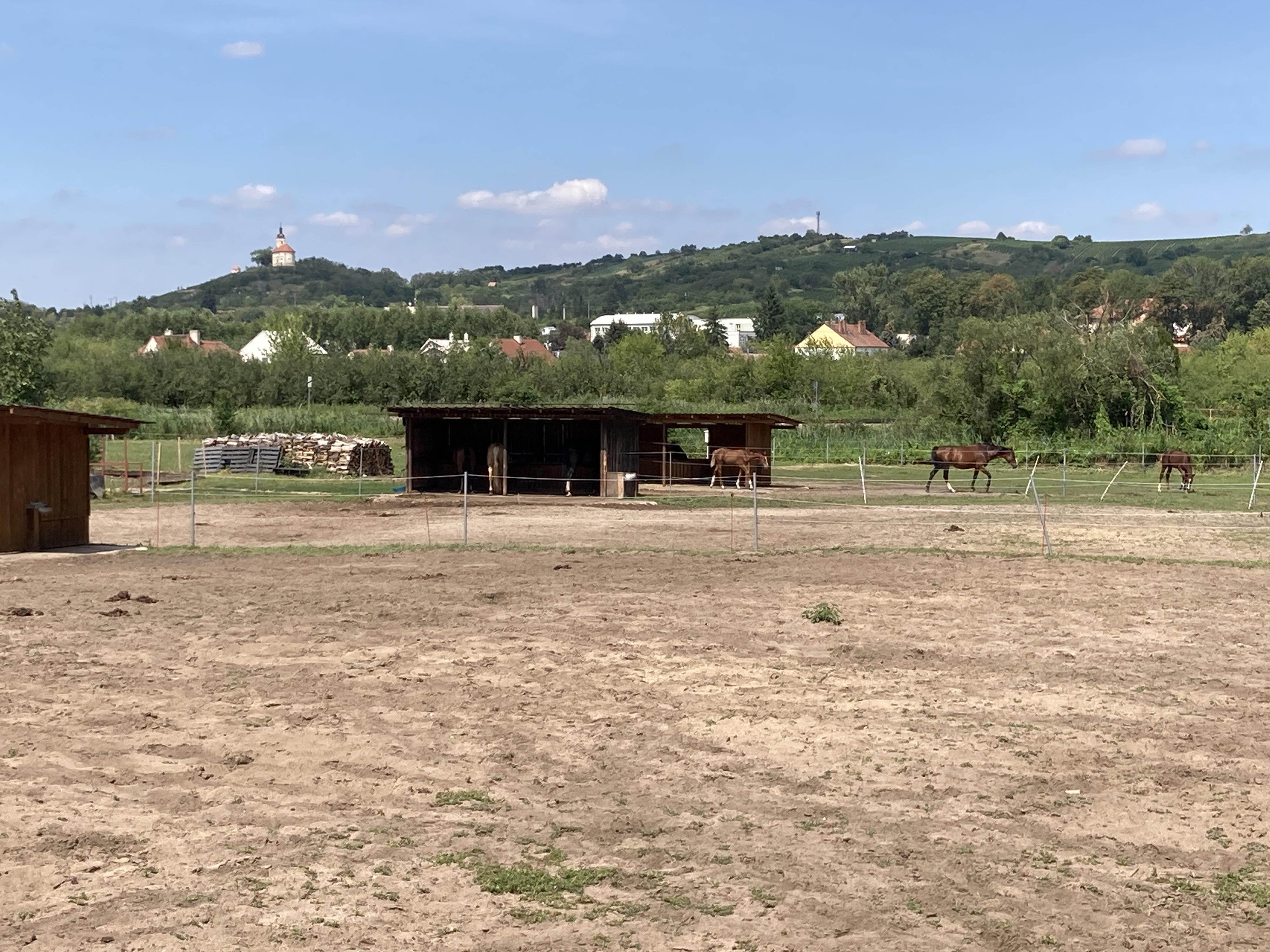 Jezdecká stáj Bzenec