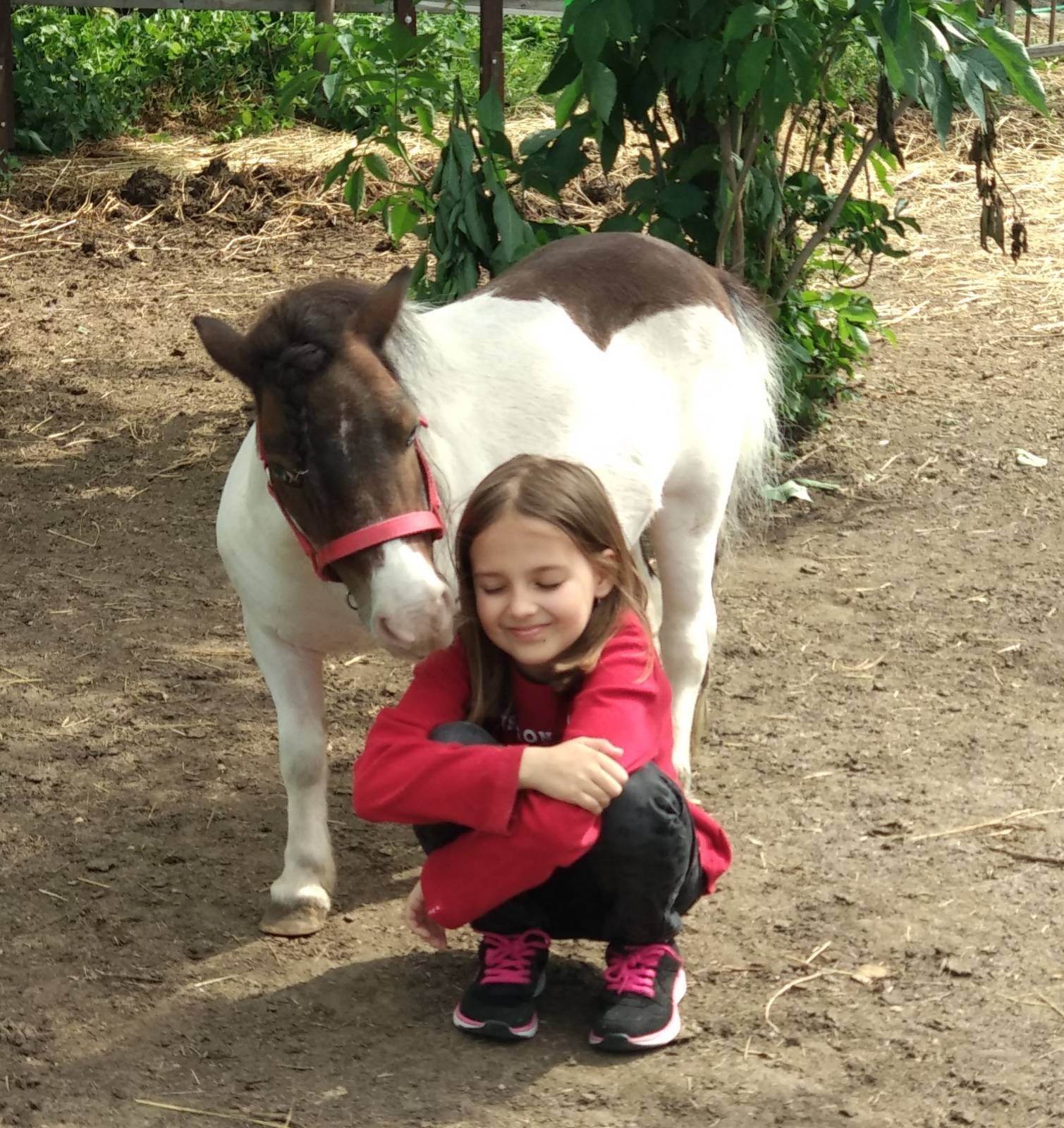 Equita Therapy z.s. foto 5