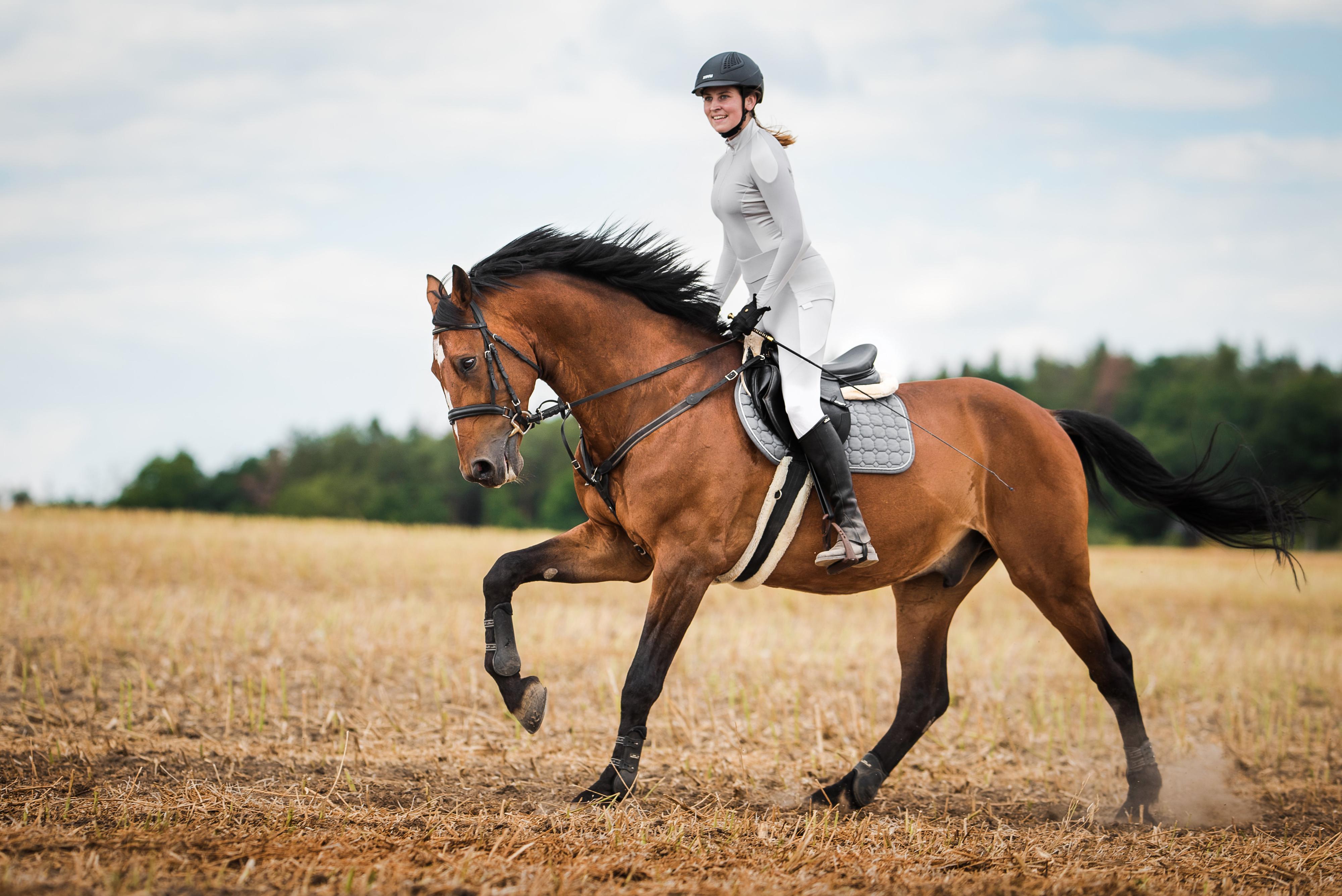 HORSE Spirit foto 4
