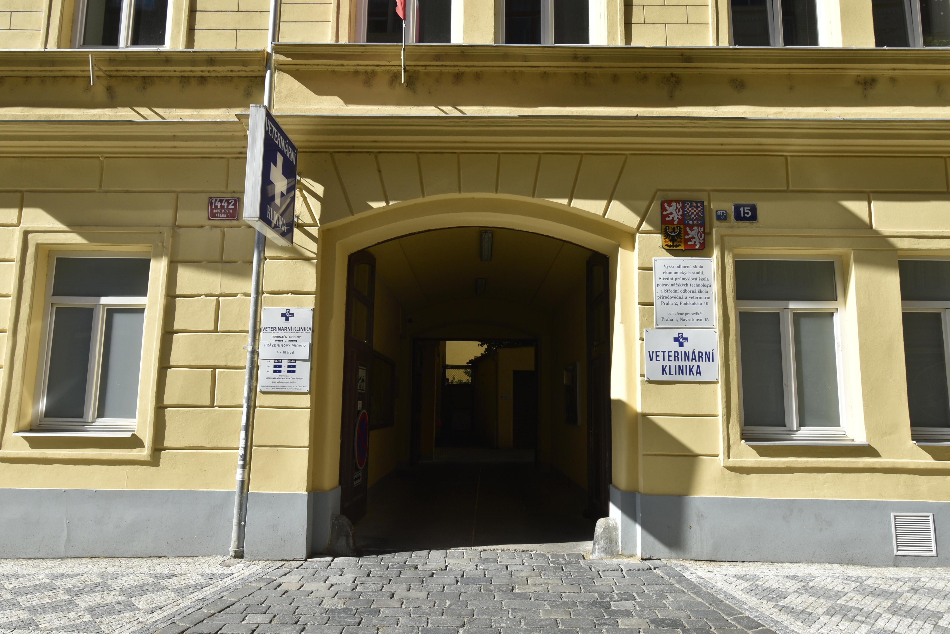 Veterina Svobodník Navrátilova