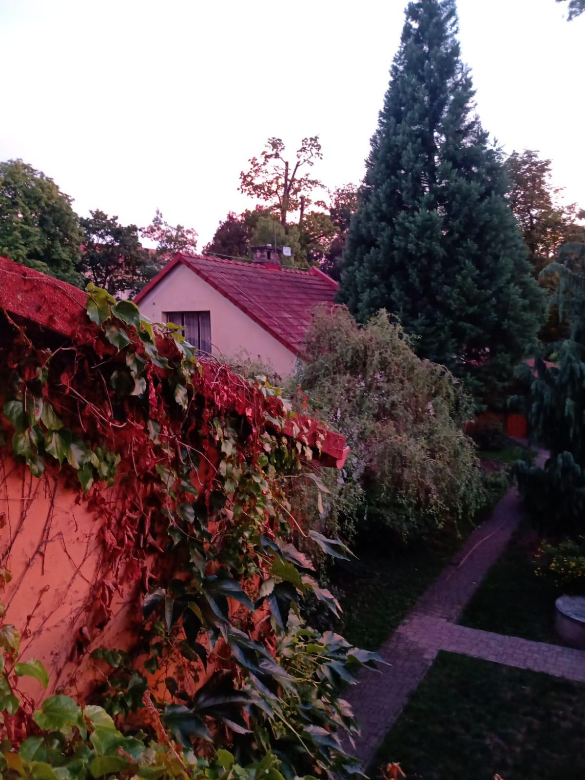 Penzion Zámecký park foto 4