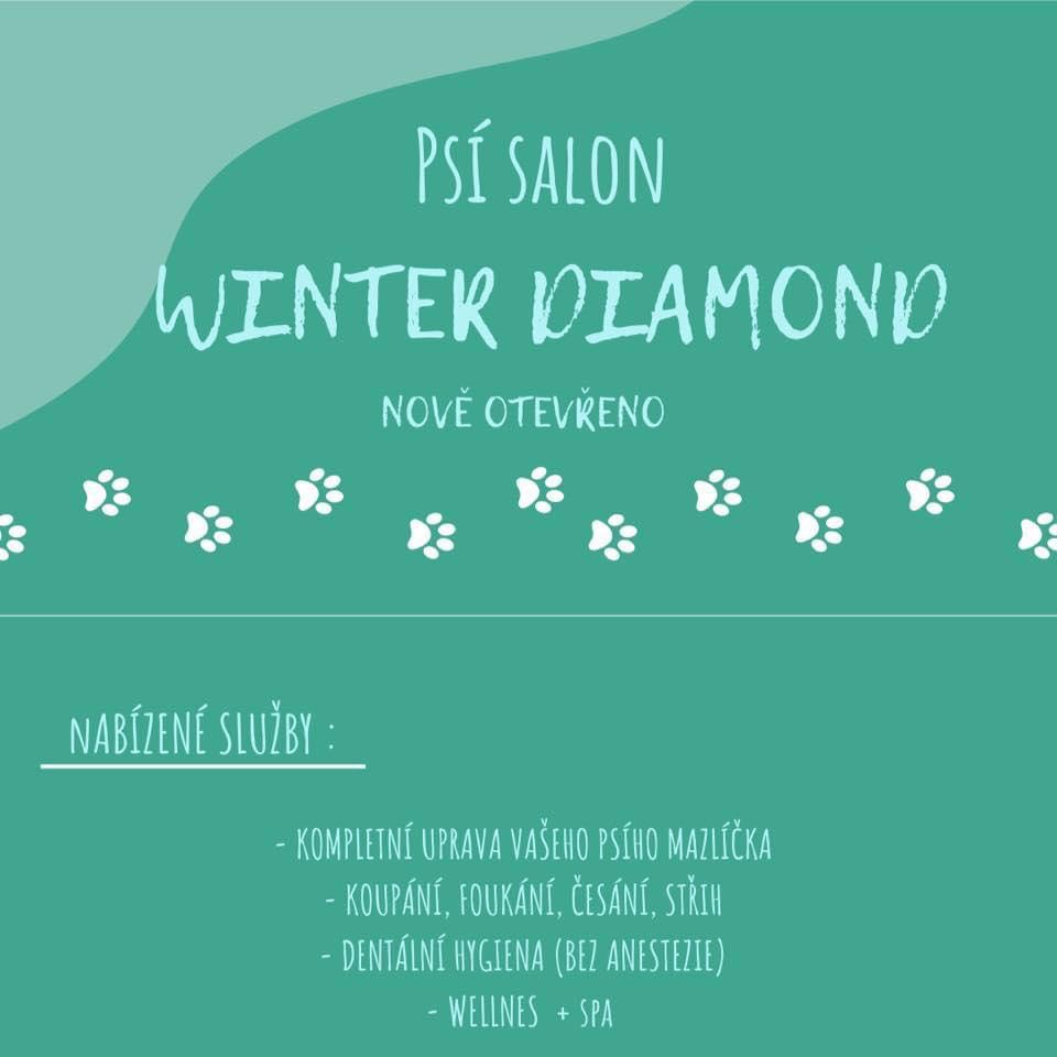 Psí salon Winter Diamond foto 1