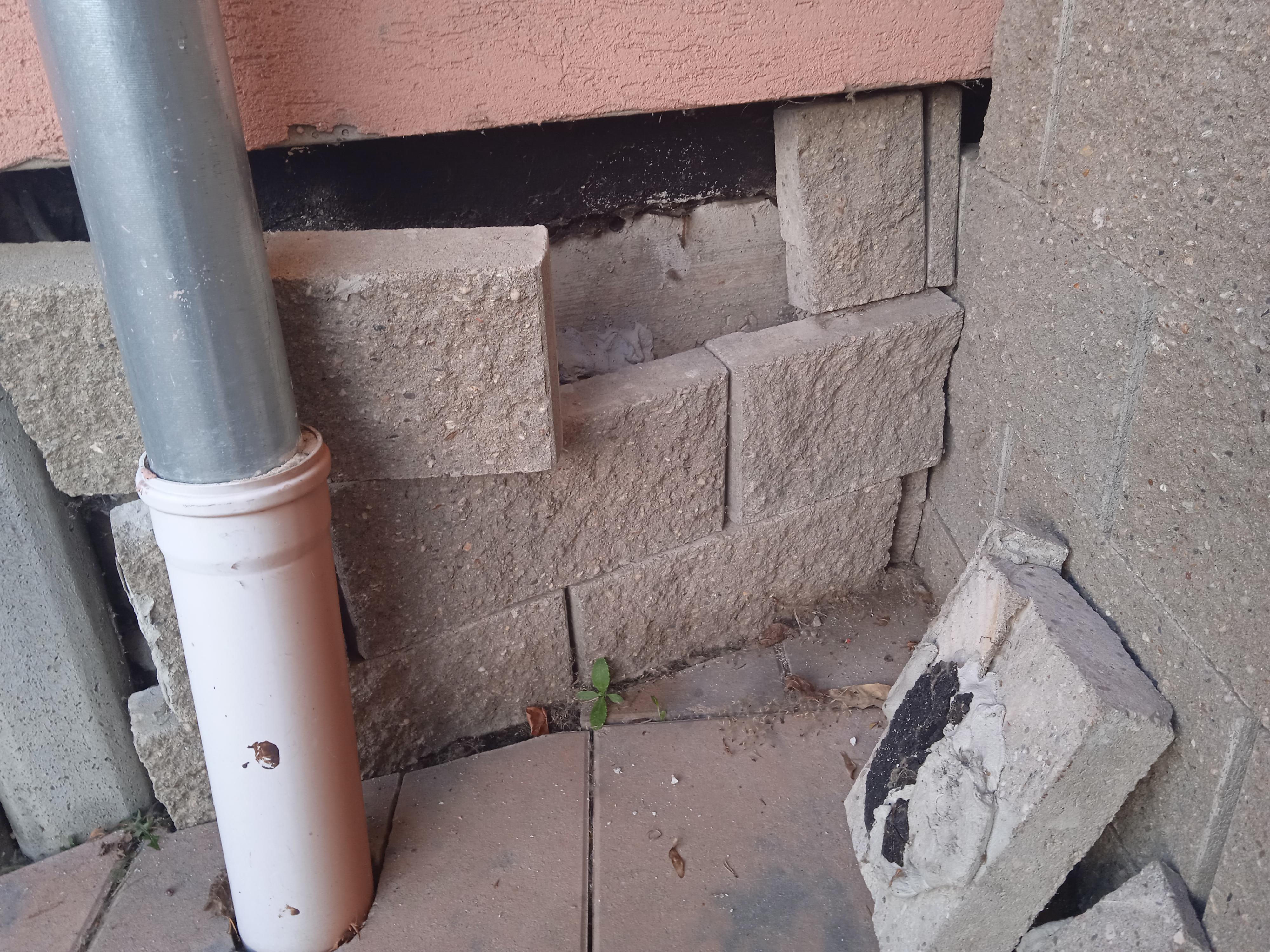 Triv interiér foto 5