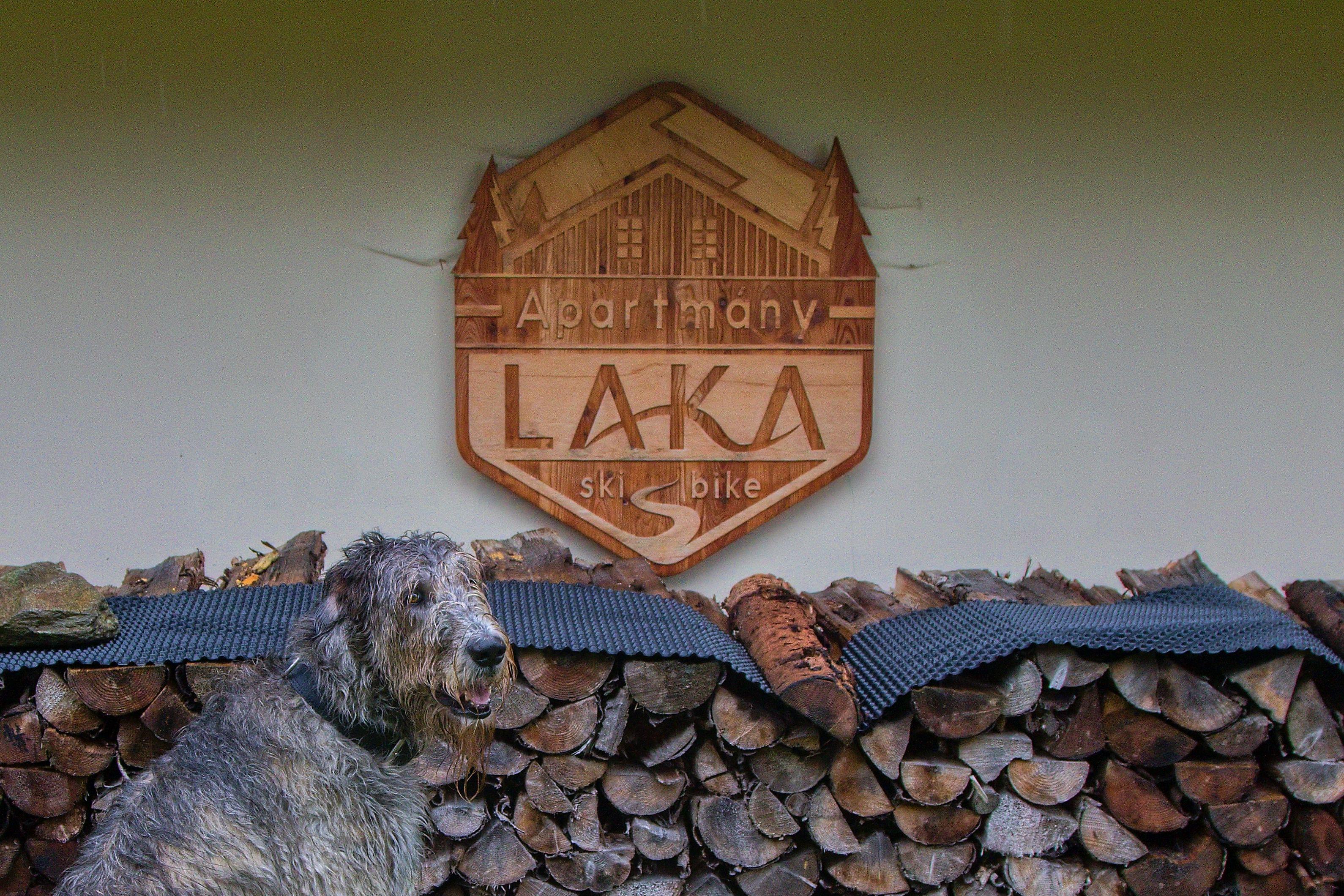 Apartmány Laka foto 4