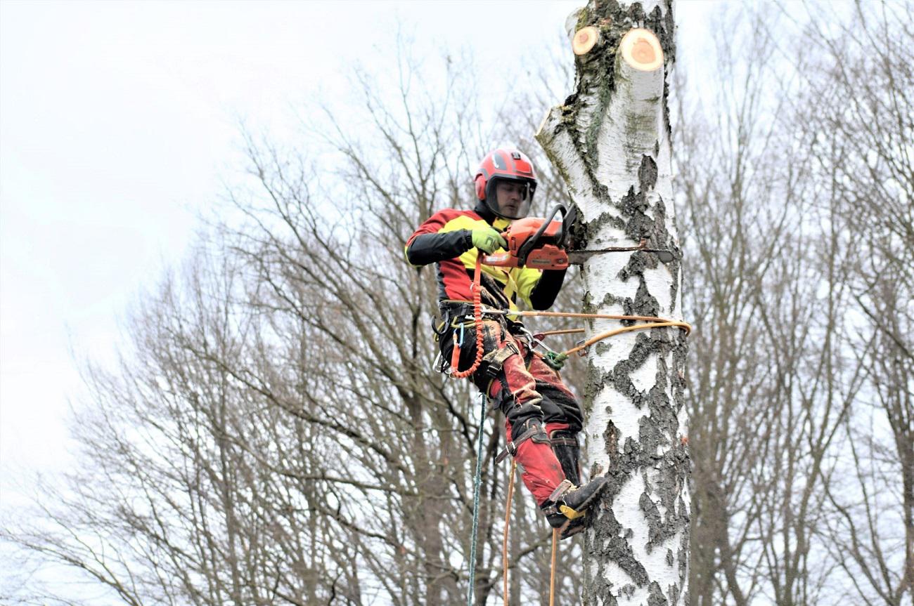 Nikolas Koch - kacenistromubenesov.cz