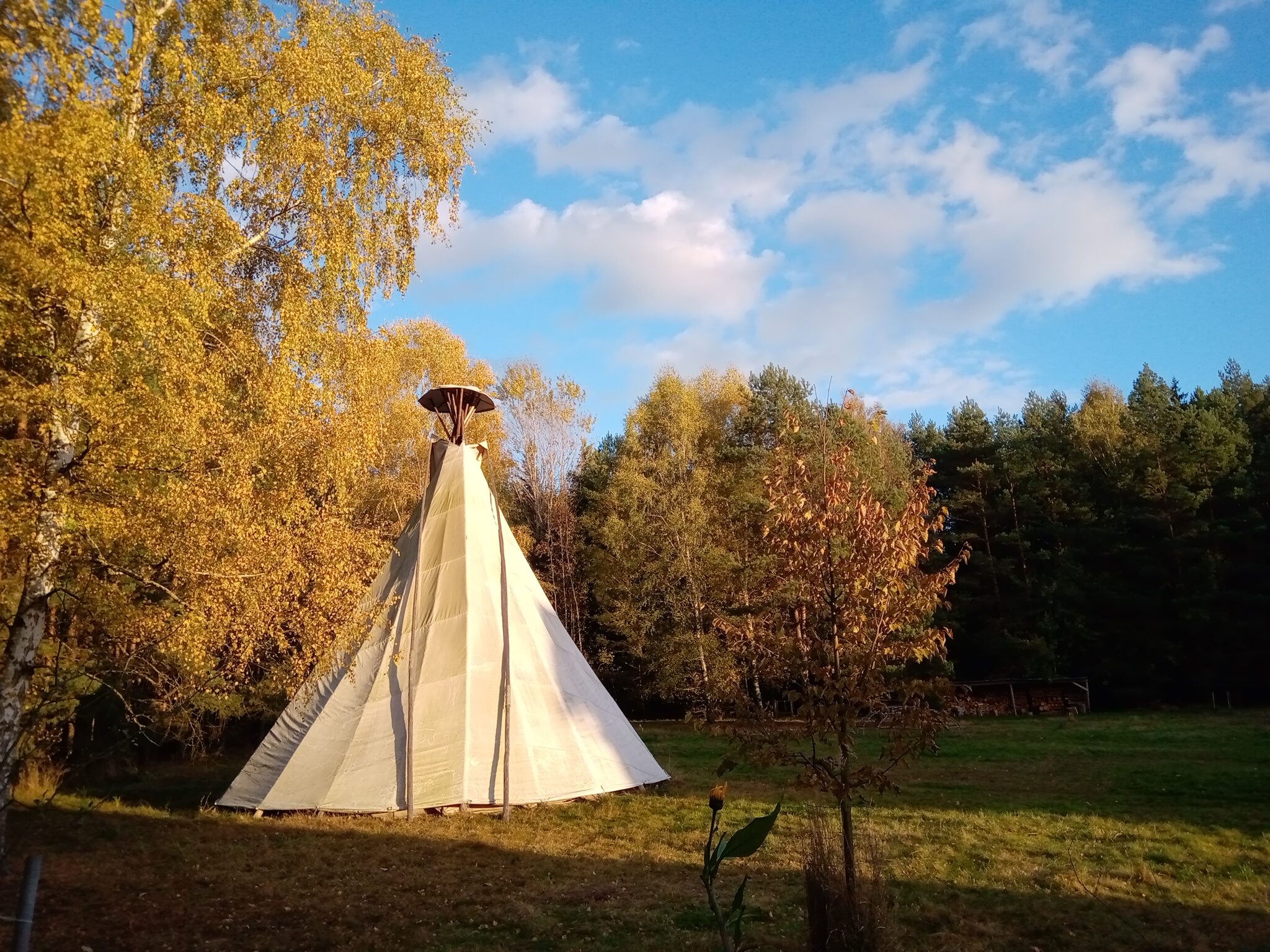 Sklenářka foto 4