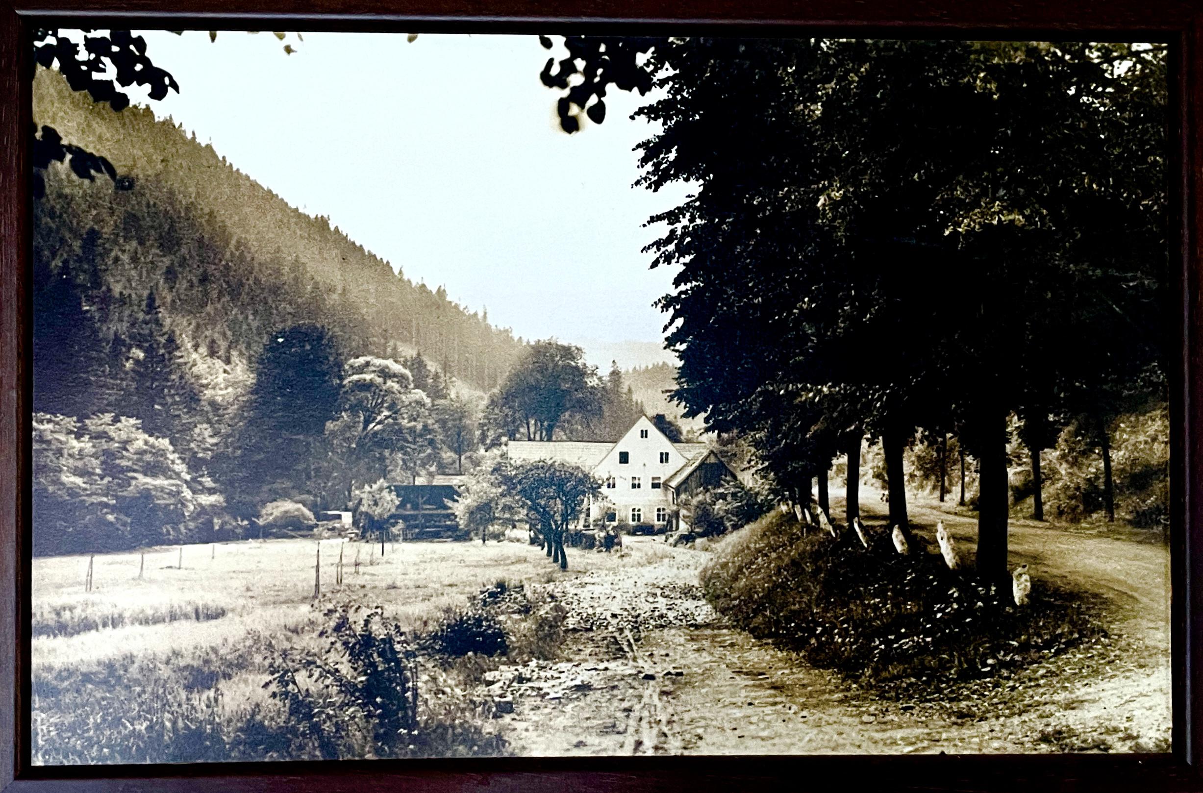 Penzion První Mlýn foto 2